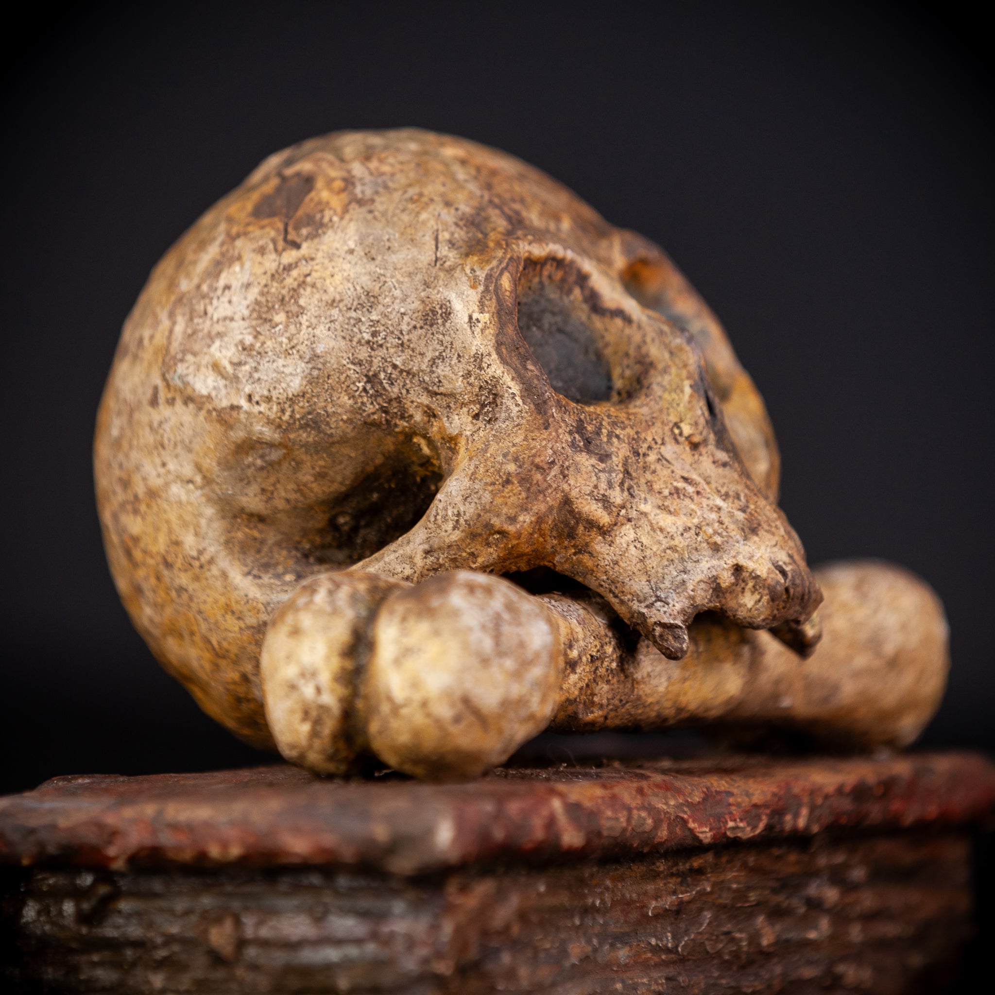 Memento Mori Wooden Sculpture | 1700s Antique 7.5" / 19 cm