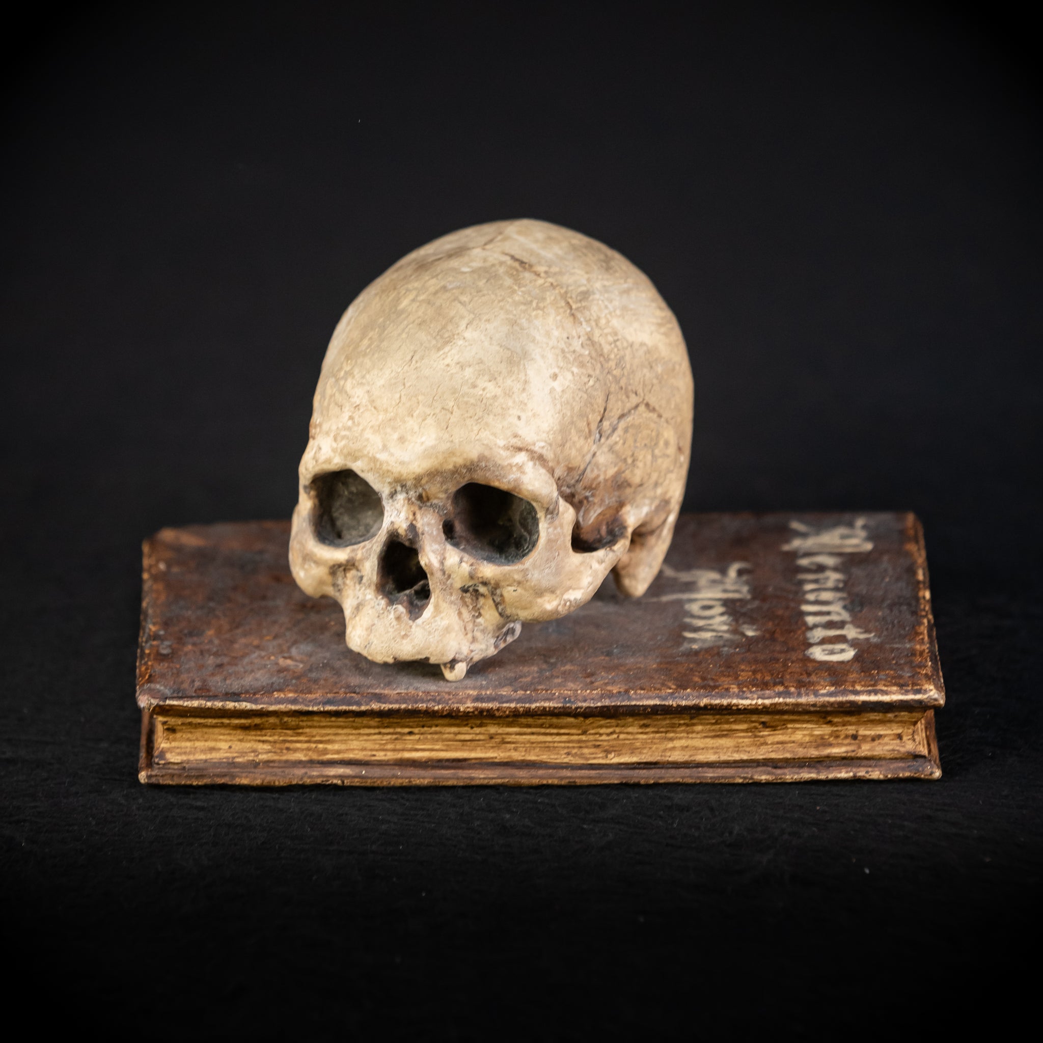 Memento Mori Wooden Sculpture | 1700s Antique