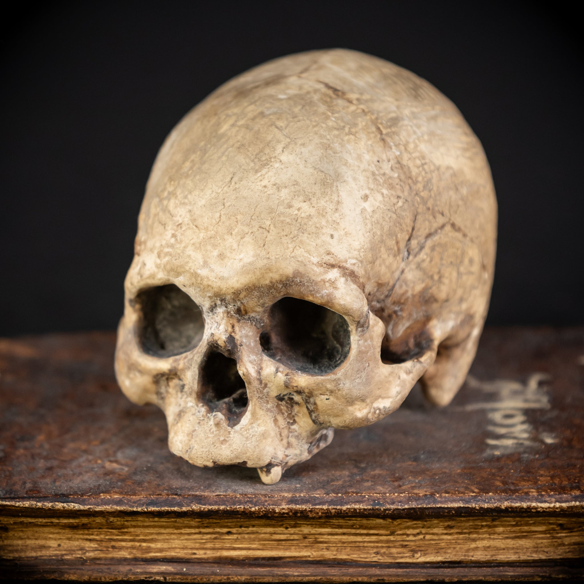 Memento Mori Wooden Sculpture | 1700s Antique