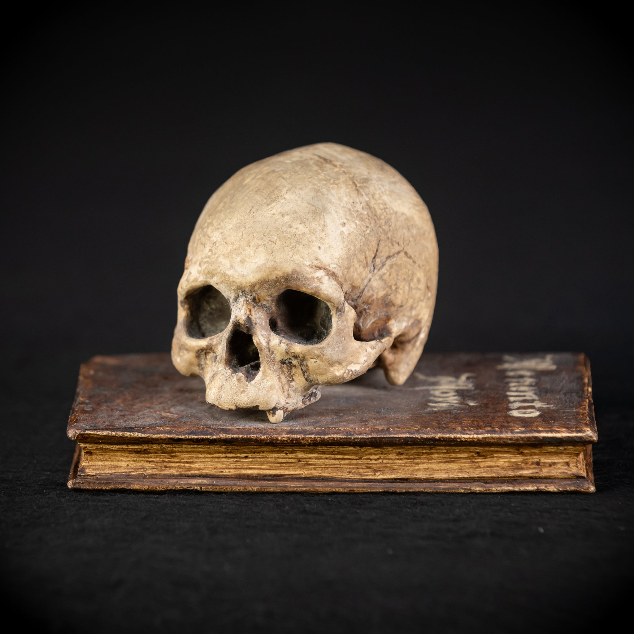 Memento Mori Wooden Sculpture | 1700s Antique