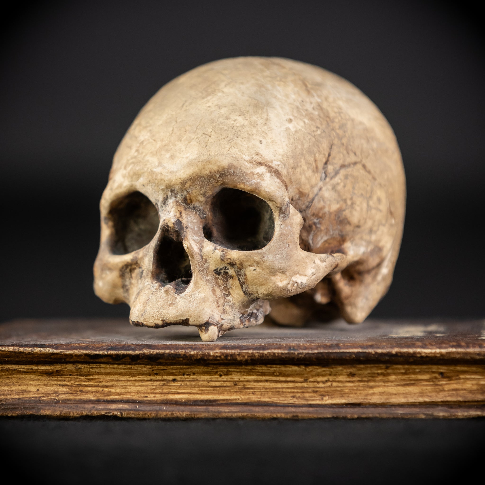 Memento Mori Wooden Sculpture | 1700s Antique