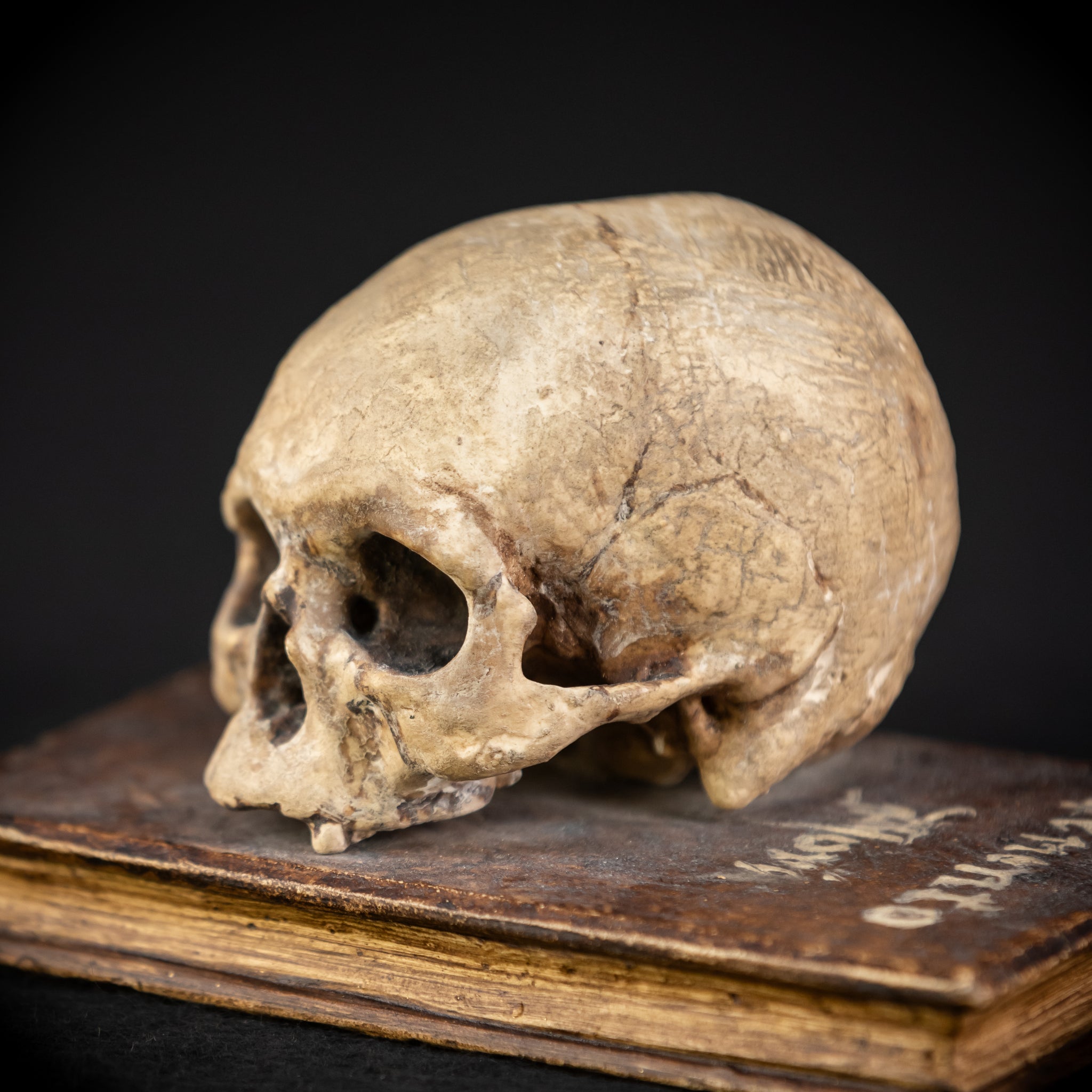 Memento Mori Wooden Sculpture | 1700s Antique