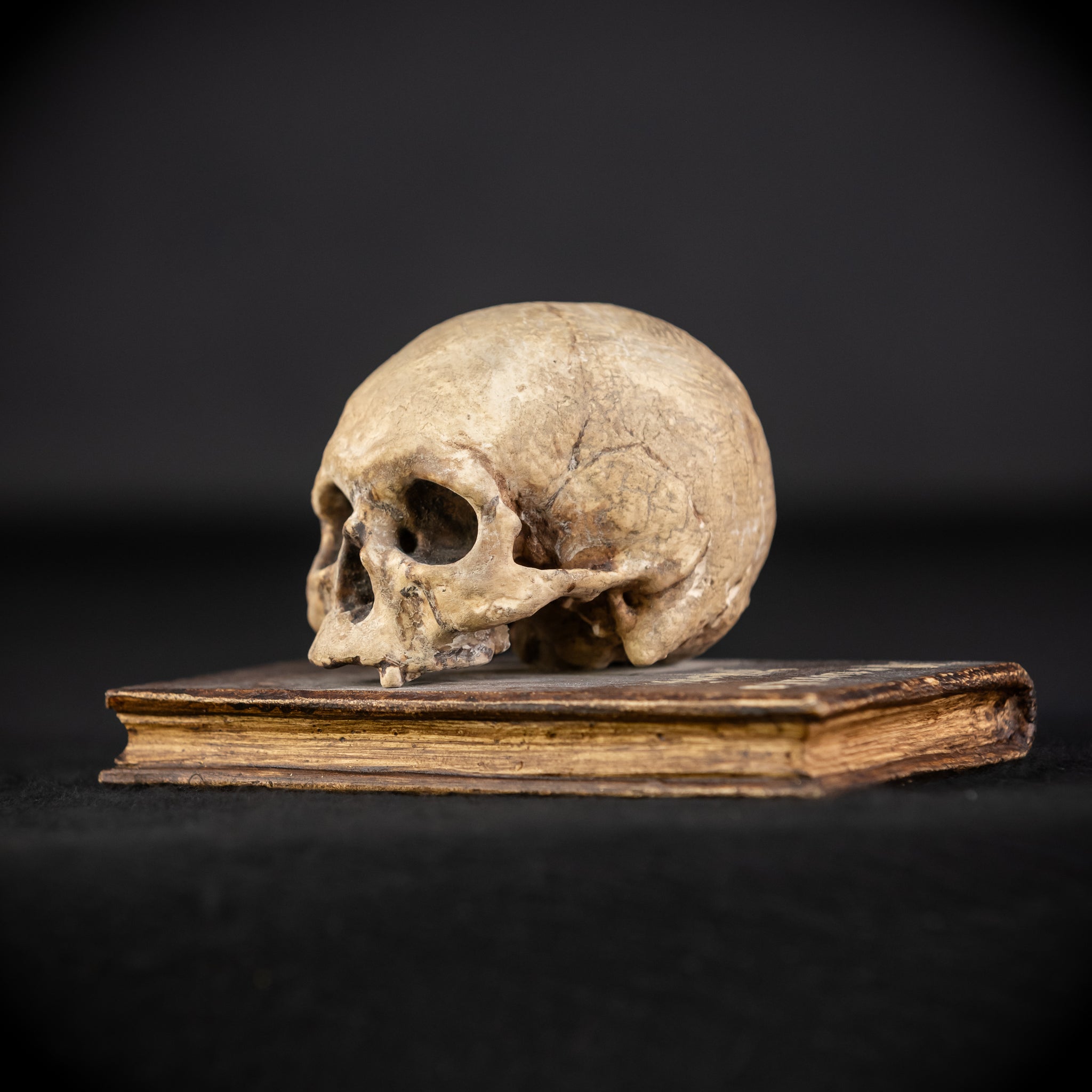 Memento Mori Wooden Sculpture | 1700s Antique
