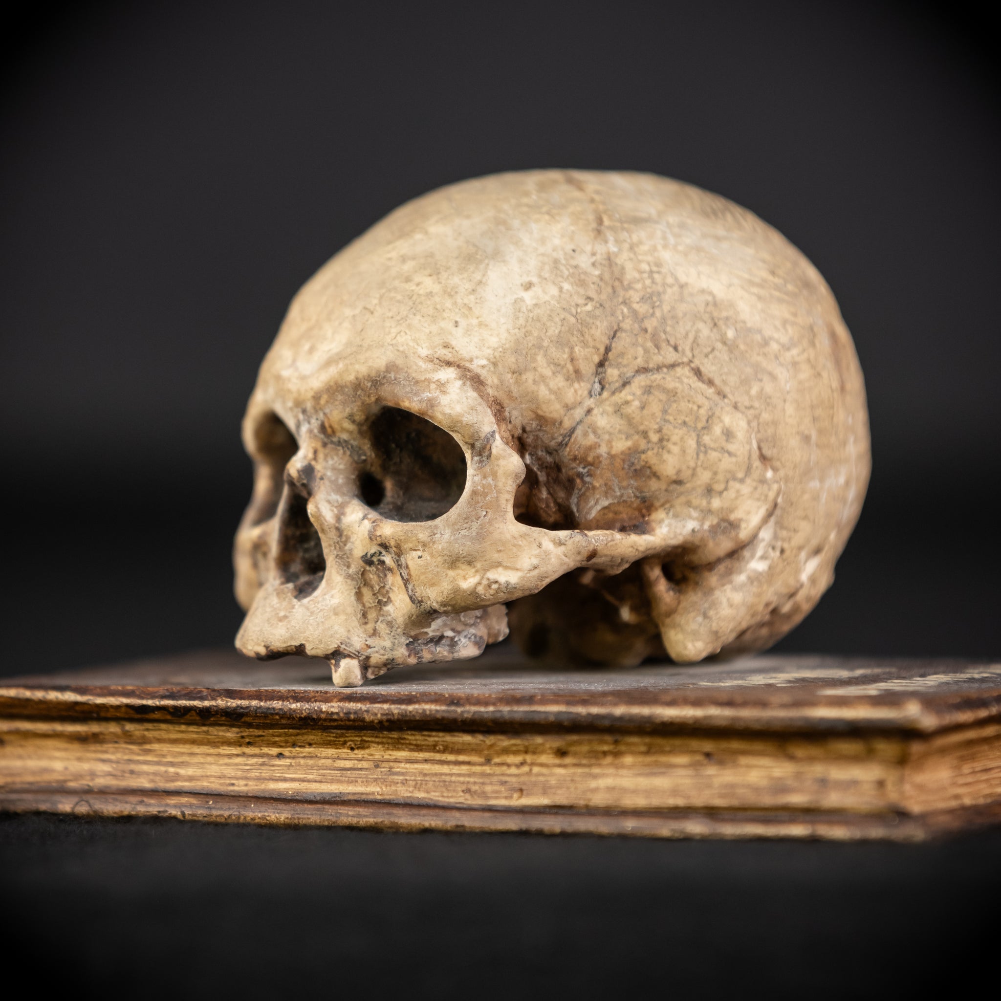 Memento Mori Wooden Sculpture | 1700s Antique