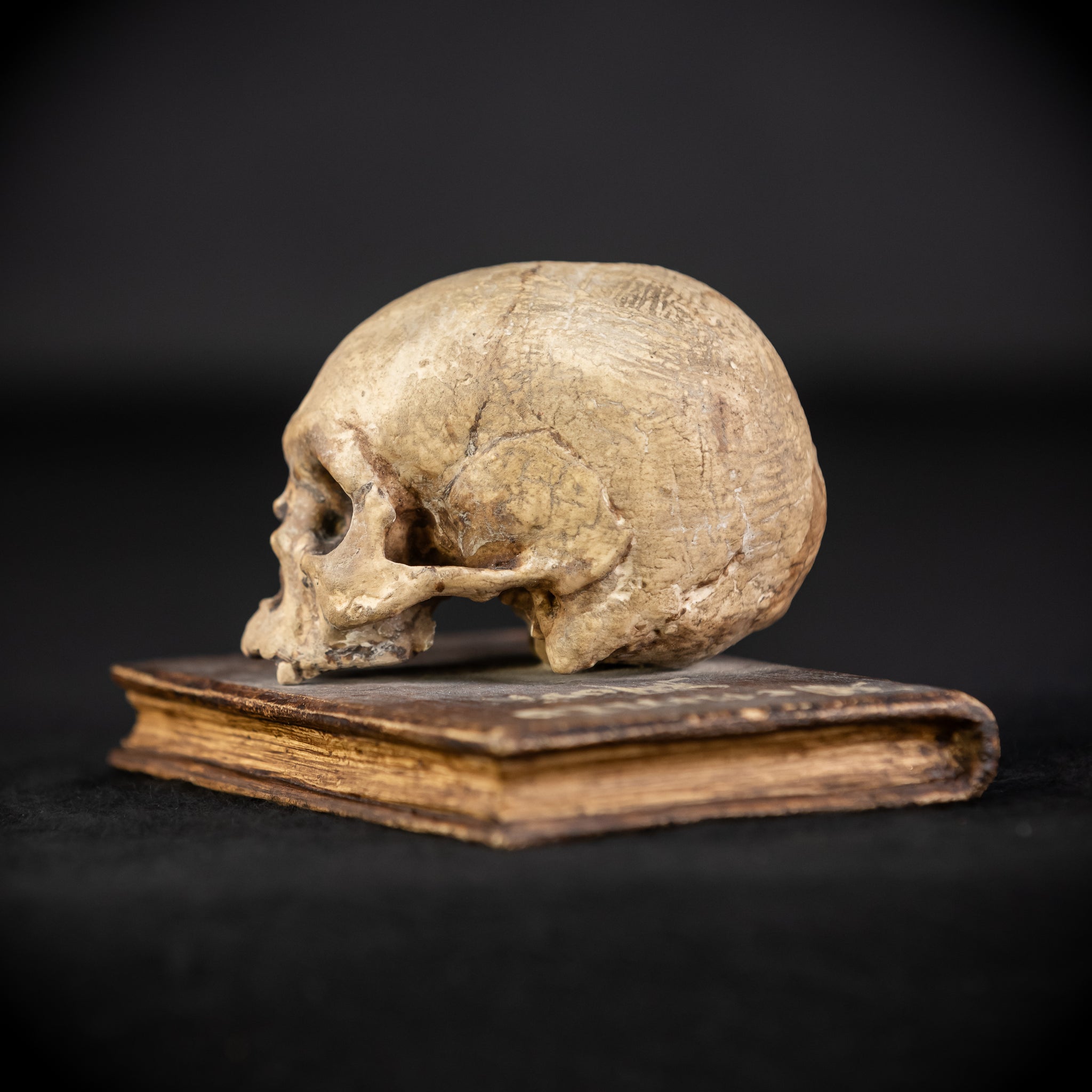 Memento Mori Wooden Sculpture | 1700s Antique