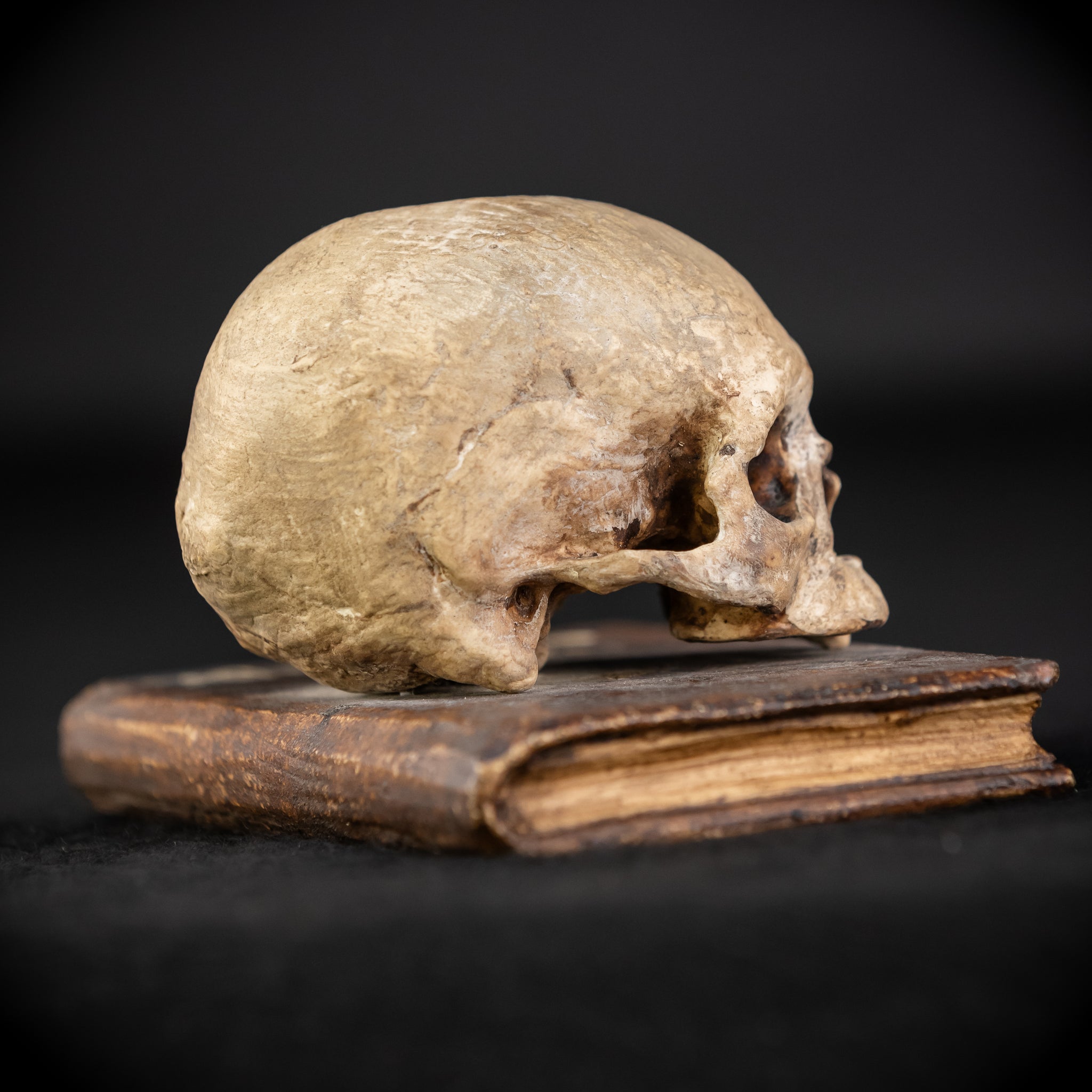 Memento Mori Wooden Sculpture | 1700s Antique