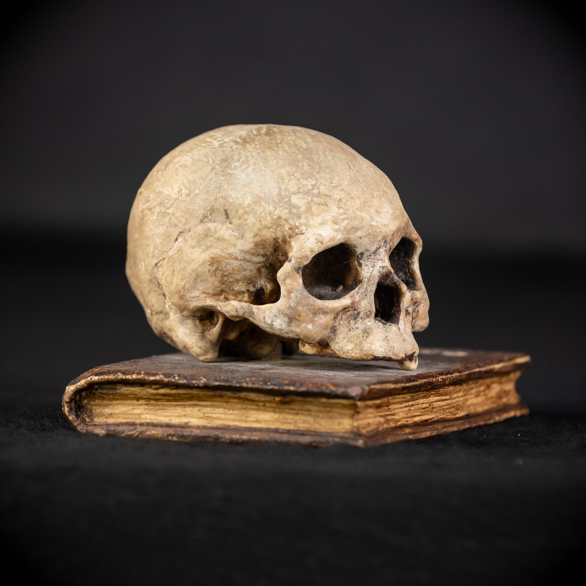 Memento Mori Wooden Sculpture | 1700s Antique