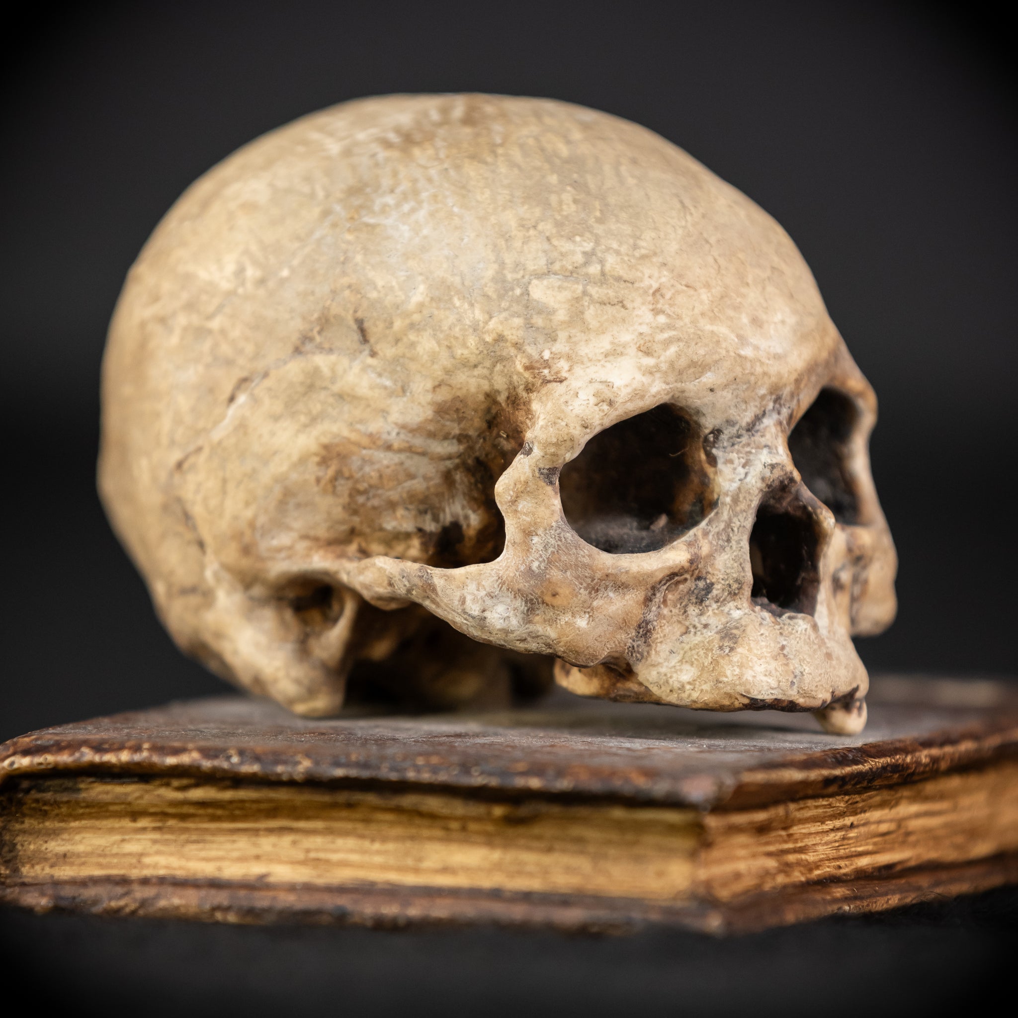 Memento Mori Wooden Sculpture | 1700s Antique