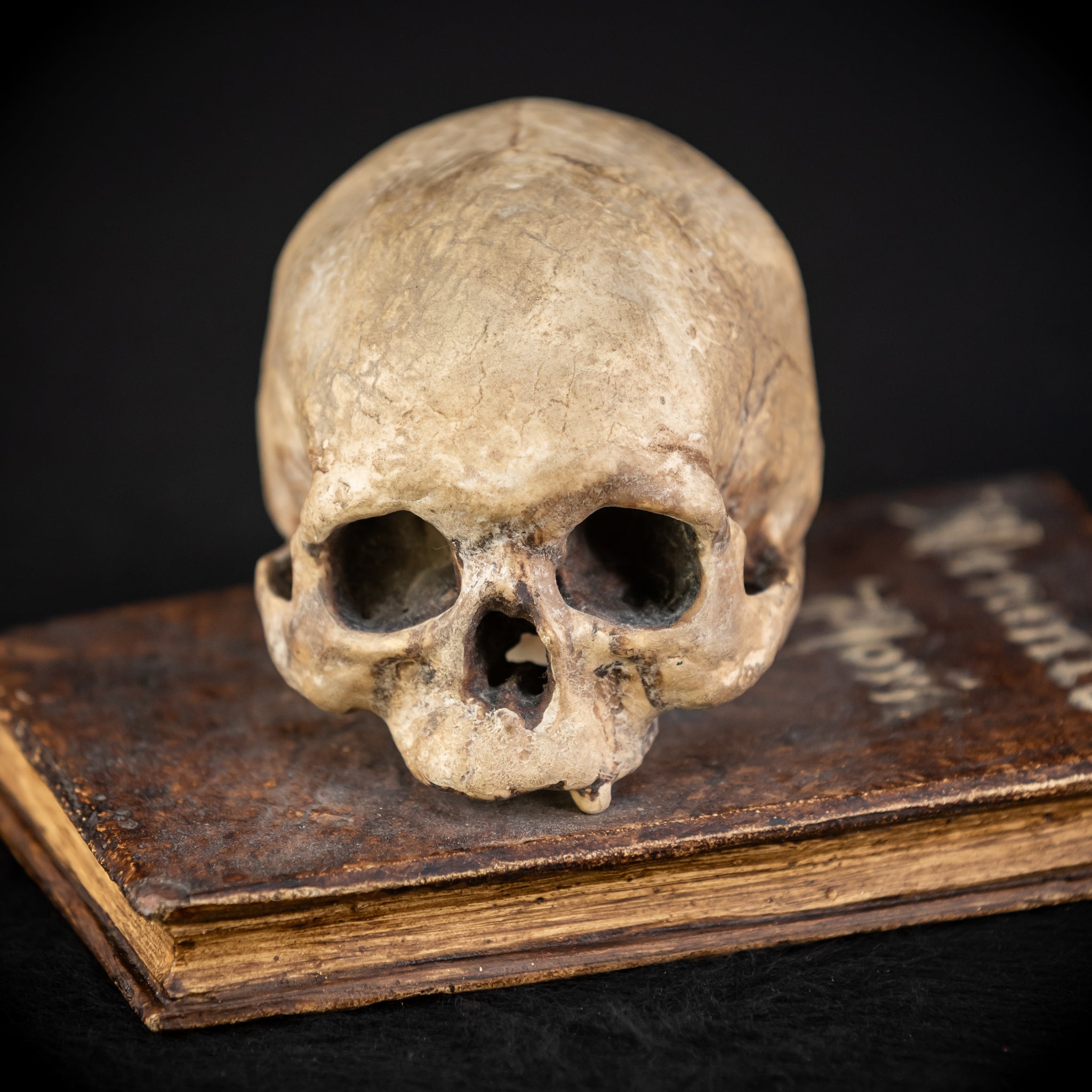 Memento Mori Wooden Sculpture | 1700s Antique