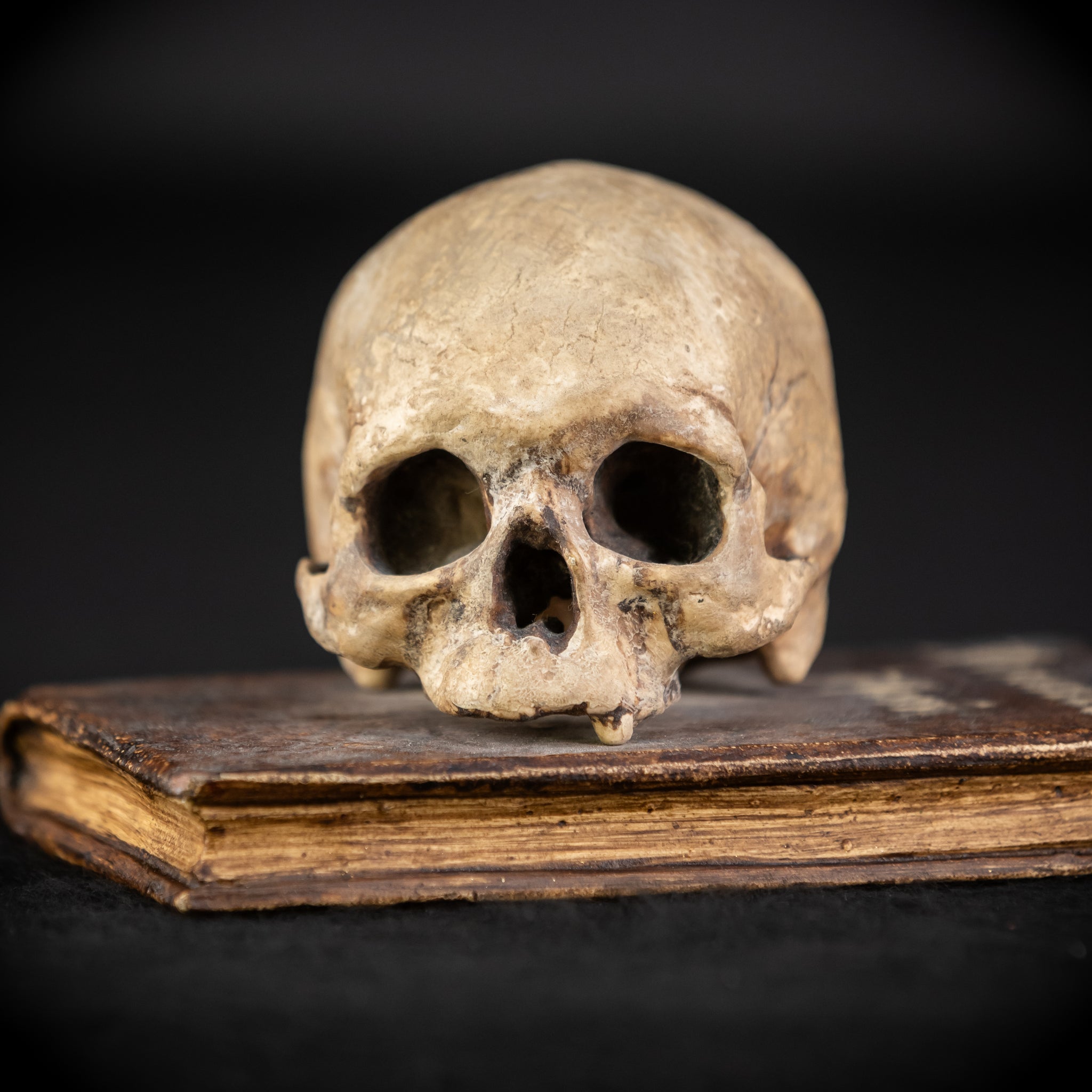 Memento Mori Wooden Sculpture | 1700s Antique