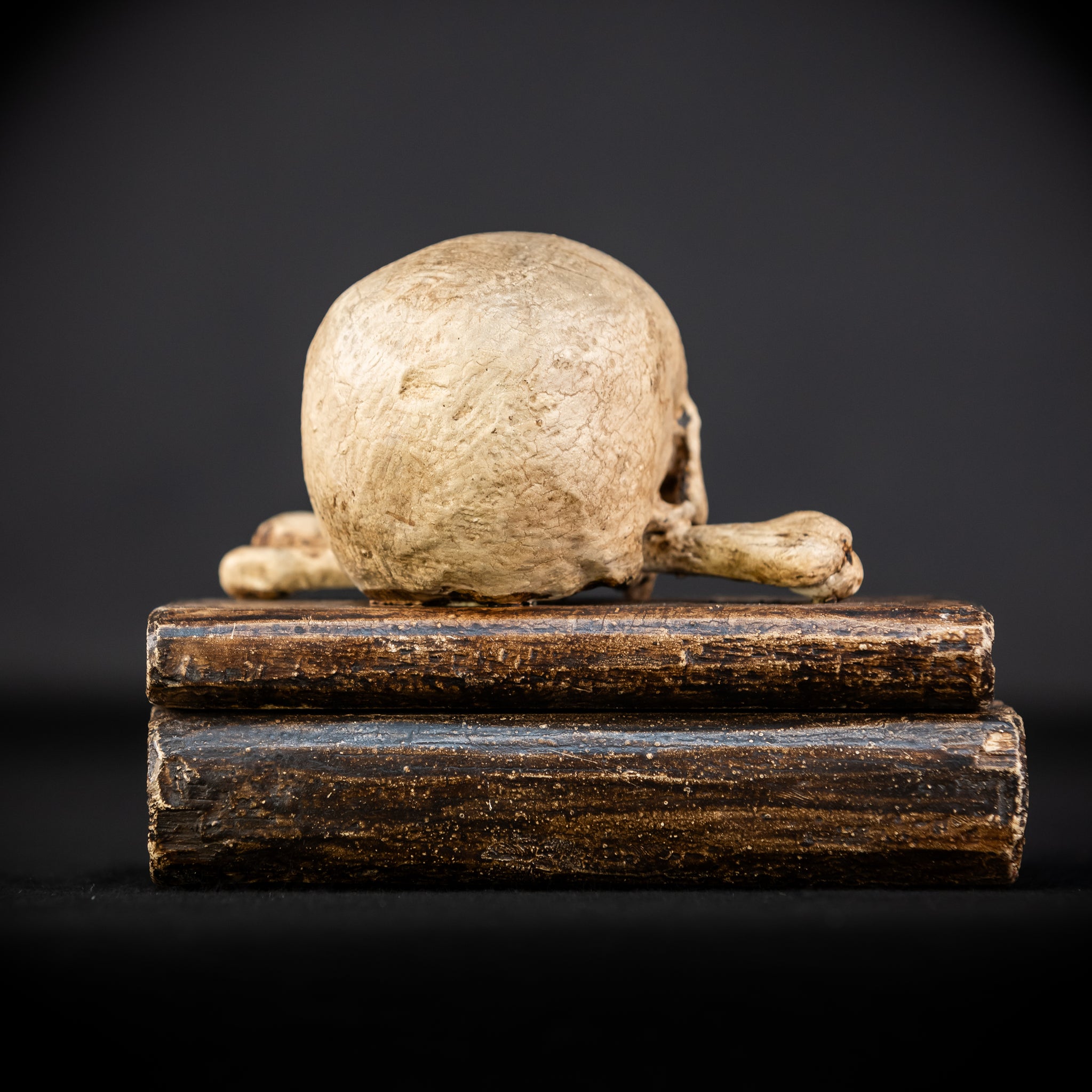 Healers Memento Mori Wooden Sculpture | 18th Century