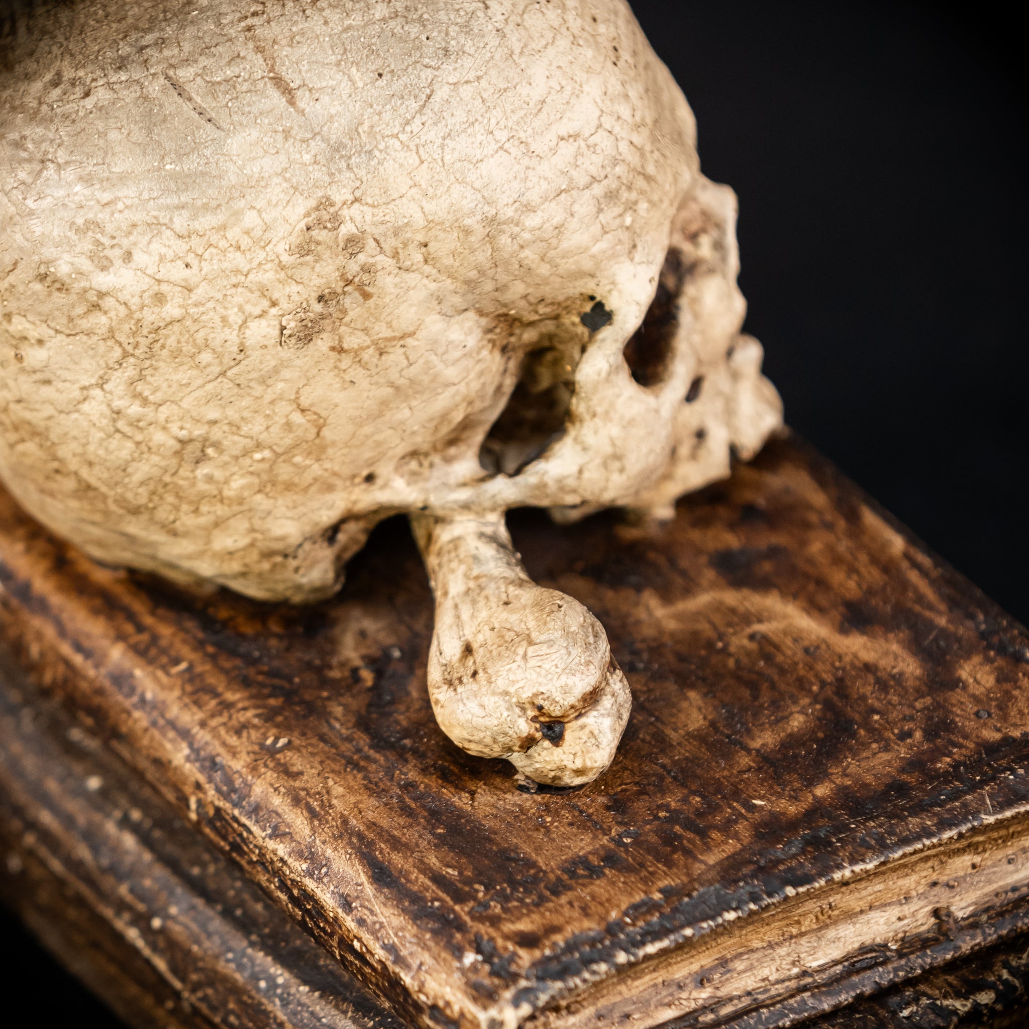 Healers Memento Mori Wooden Sculpture | 18th Century