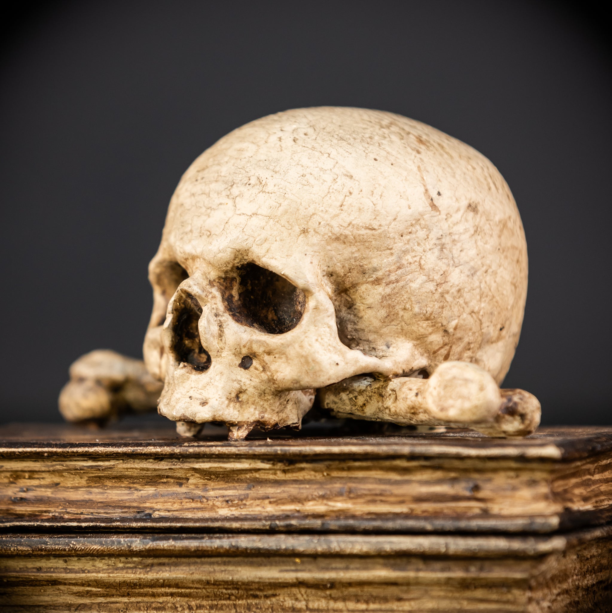 Healers Memento Mori Wooden Sculpture | 18th Century