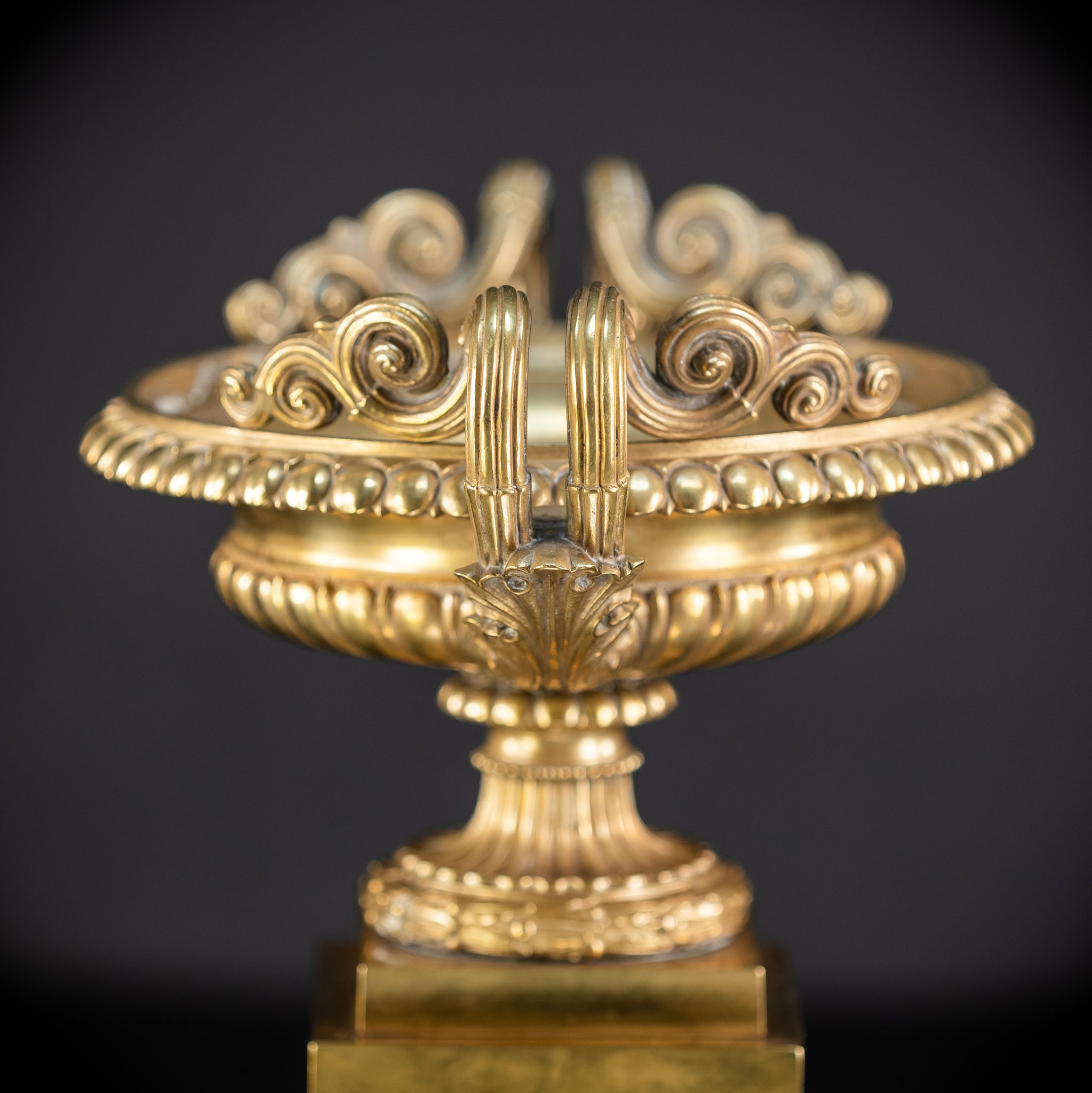 Pair of Urns / Tazze Gilded Bronze-Brass 1700s | 13”