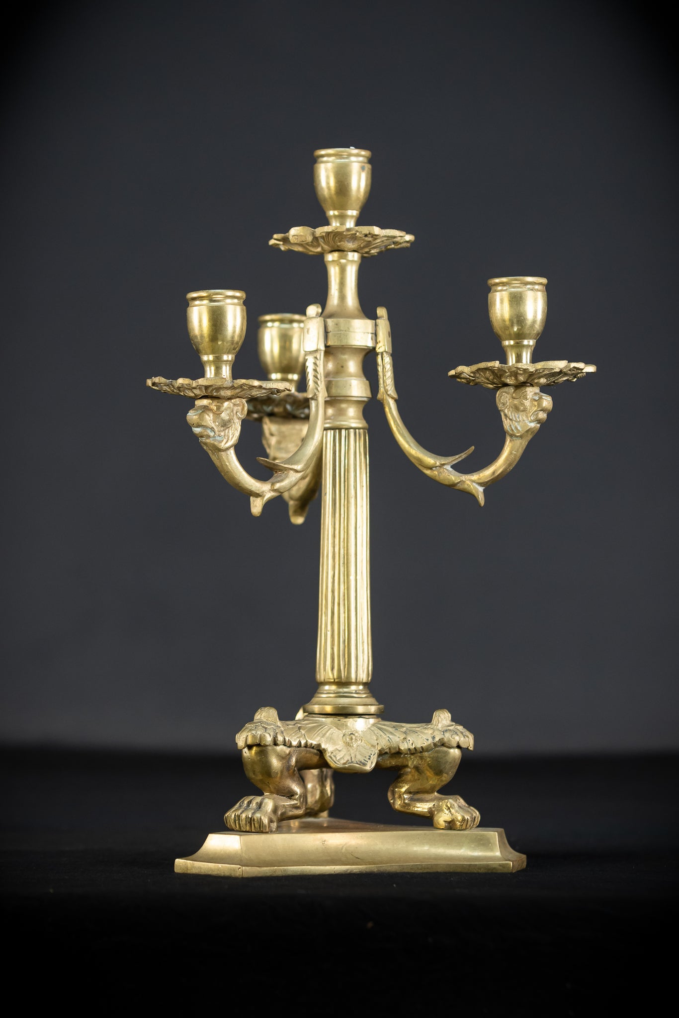 Candelabra Pair | Bronze 1800s | 13.4"