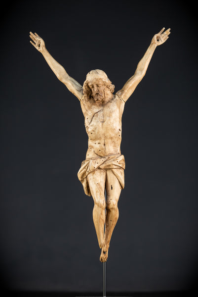 Corpus Christi Wood | France 1600s - 1700s Antique | 16" / 40.5 cm
