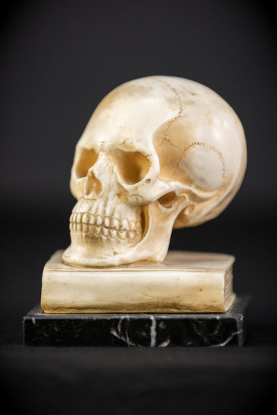 Memento Mori | Antique Carved Alabaster Skull
