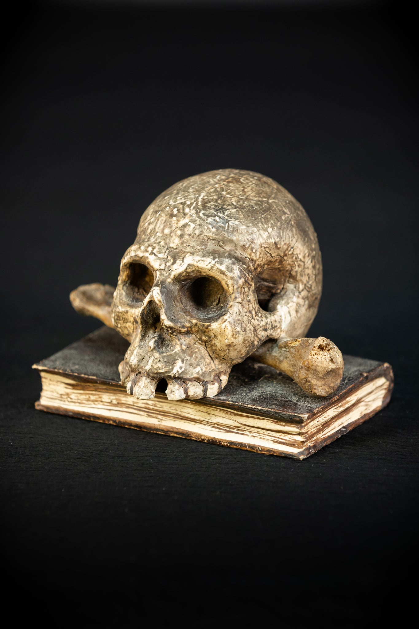 Memento Mori | Carved Wood Skull on Book 18th C | 5.5”