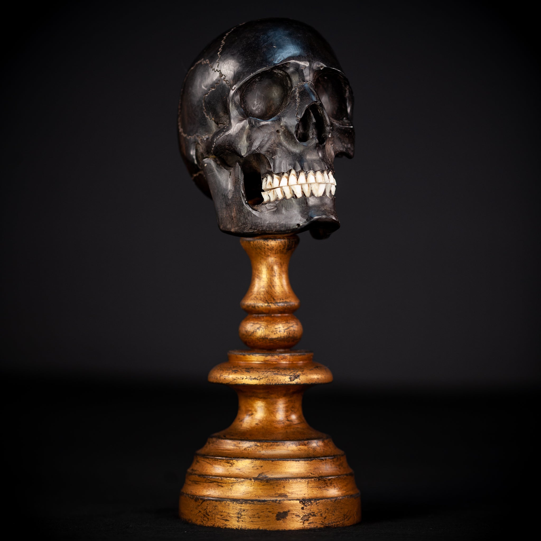 Memento Mori Ebony Wood Carving | 1800s Antique | 10.2" / 26 cm