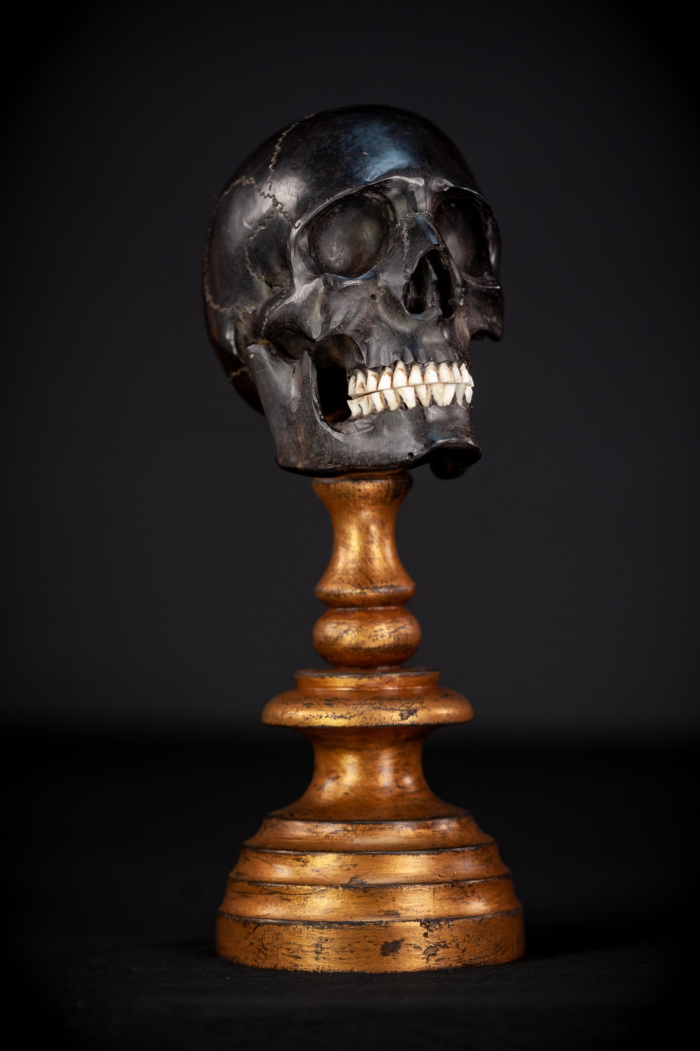 Memento Mori Ebony Wood | 1800s Antique 10.2" / 26 cm