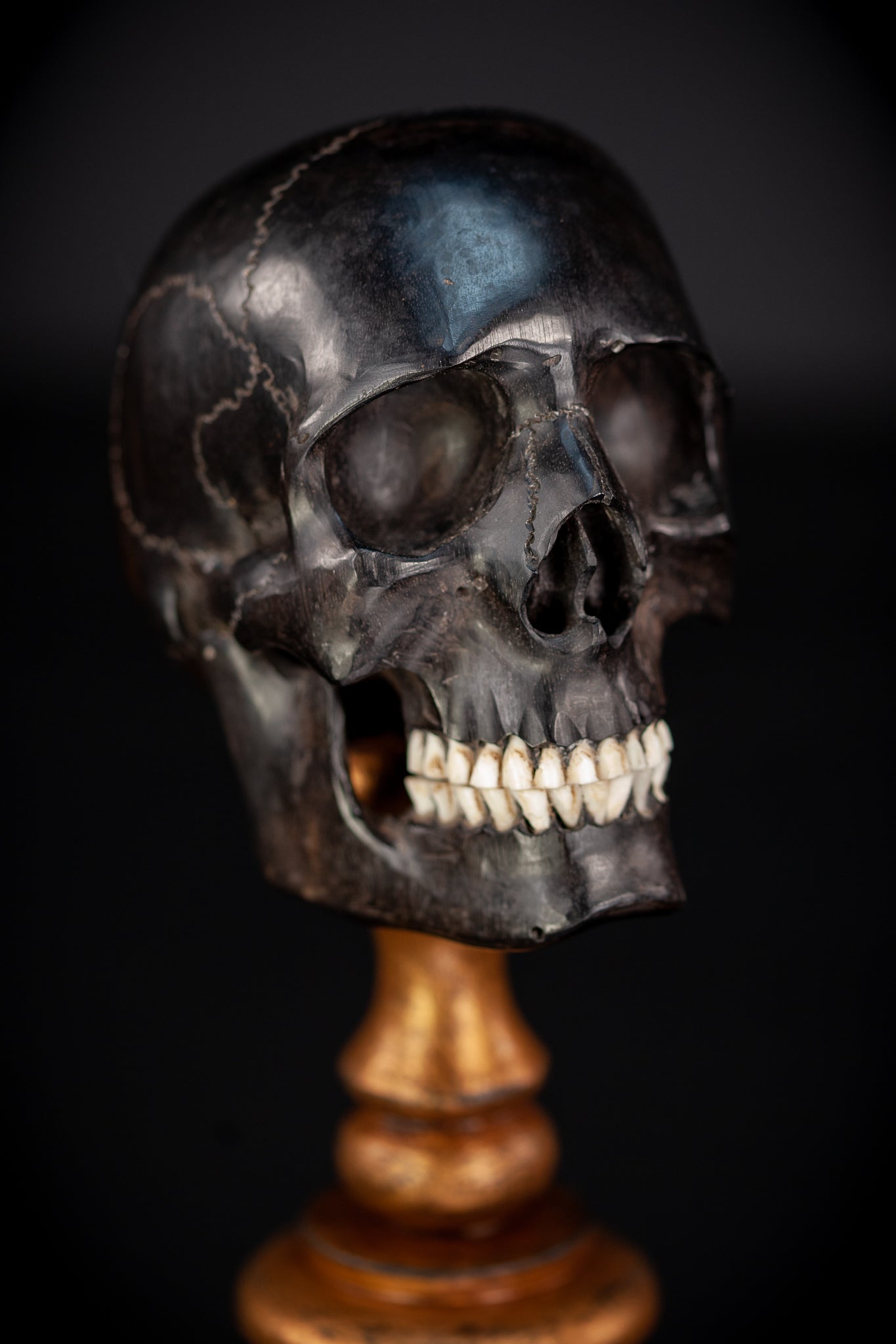 Memento Mori Ebony Wood Carving | 1800s Antique | 10.2" / 26 cm