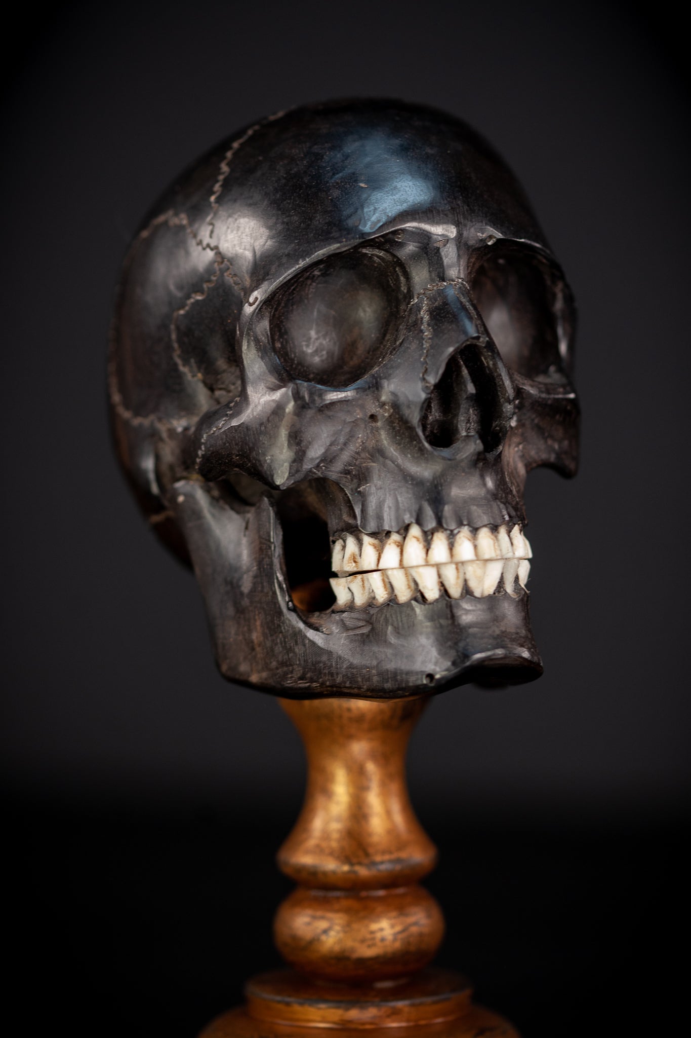 Memento Mori Ebony Wood Carving | 1800s Antique | 10.2" / 26 cm