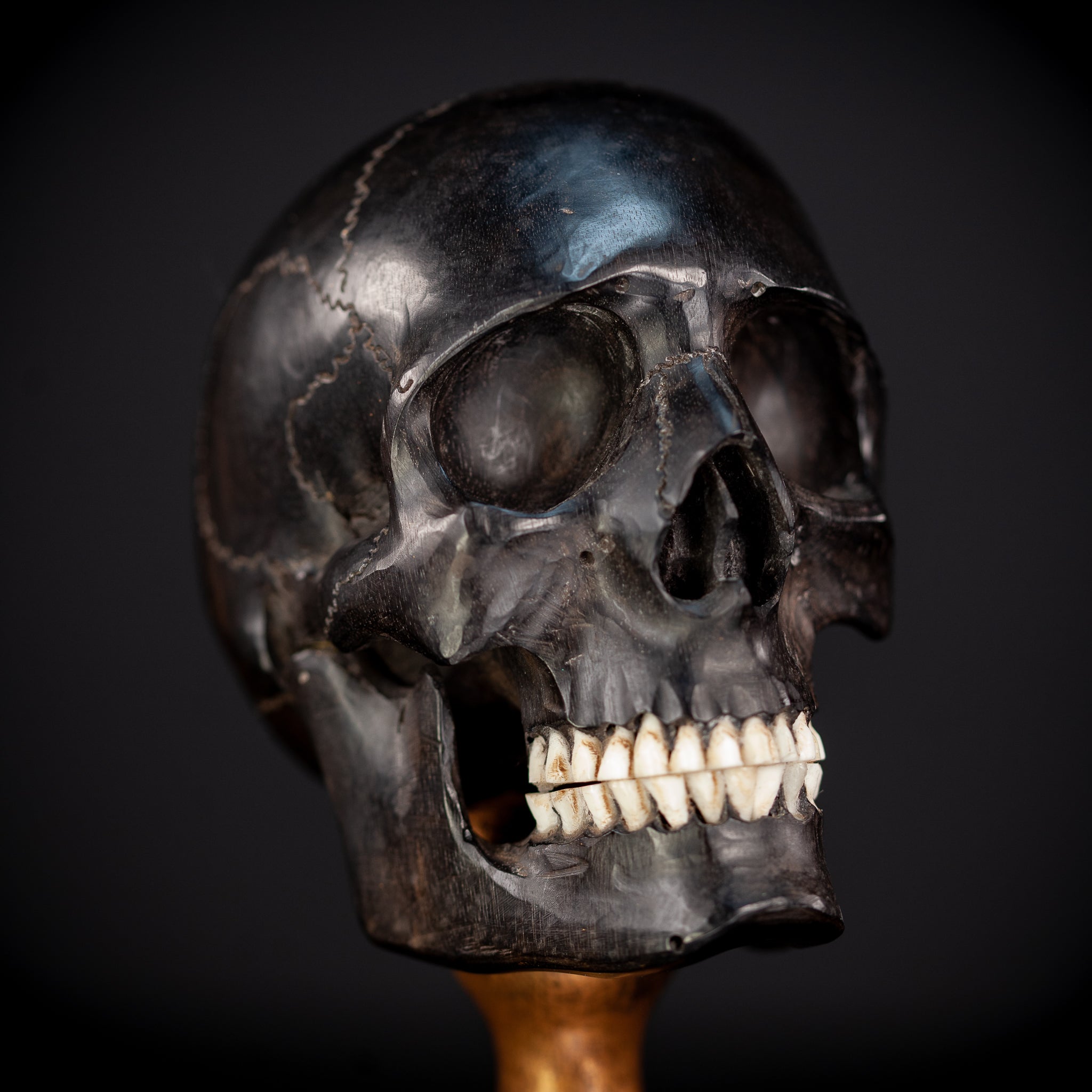 Memento Mori Ebony Wood Carving | 1800s Antique | 10.2" / 26 cm