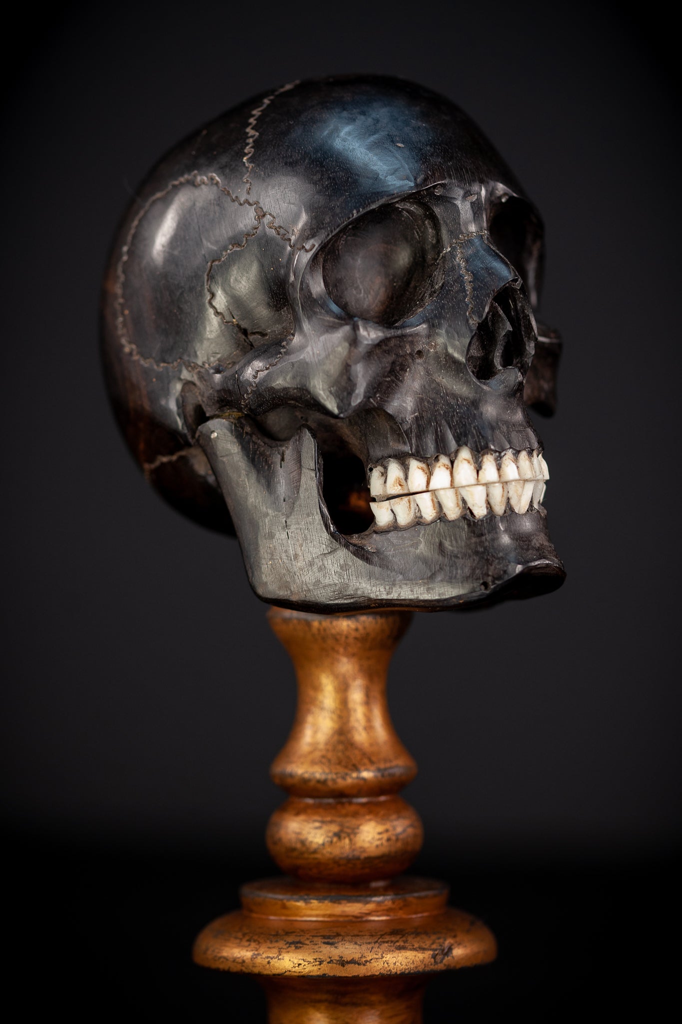 Memento Mori Ebony Wood Carving | 1800s Antique | 10.2" / 26 cm