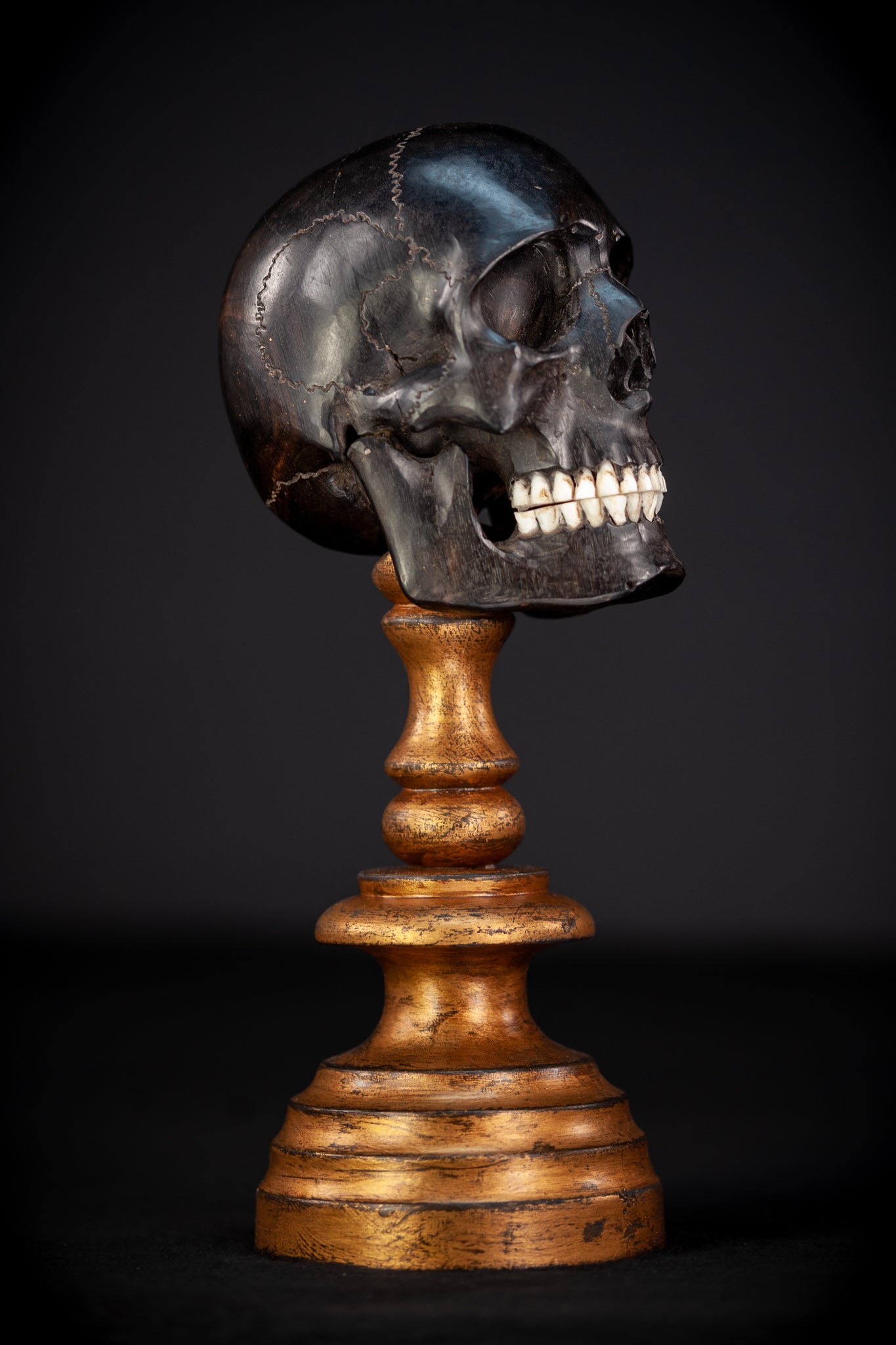 Memento Mori Ebony Wood Carving | 1800s Antique | 10.2" / 26 cm