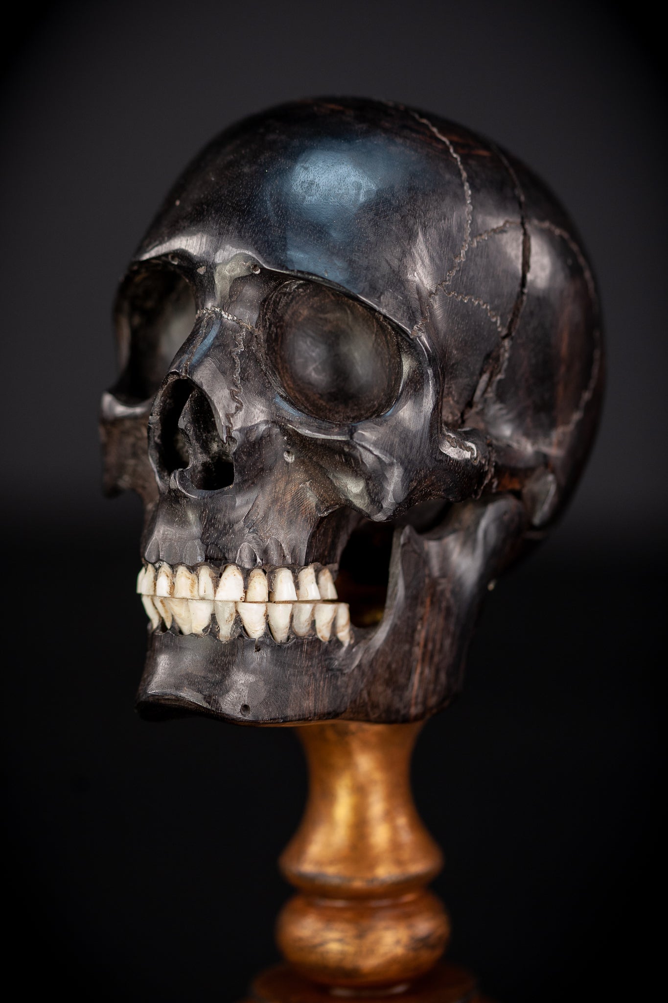 Memento Mori Ebony Wood Carving | 1800s Antique | 10.2" / 26 cm