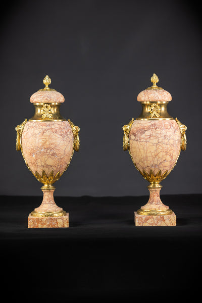 Pair of Marble and Gilt Bronze Urns | 1800s Antique | 17.7" / 45 cm 
