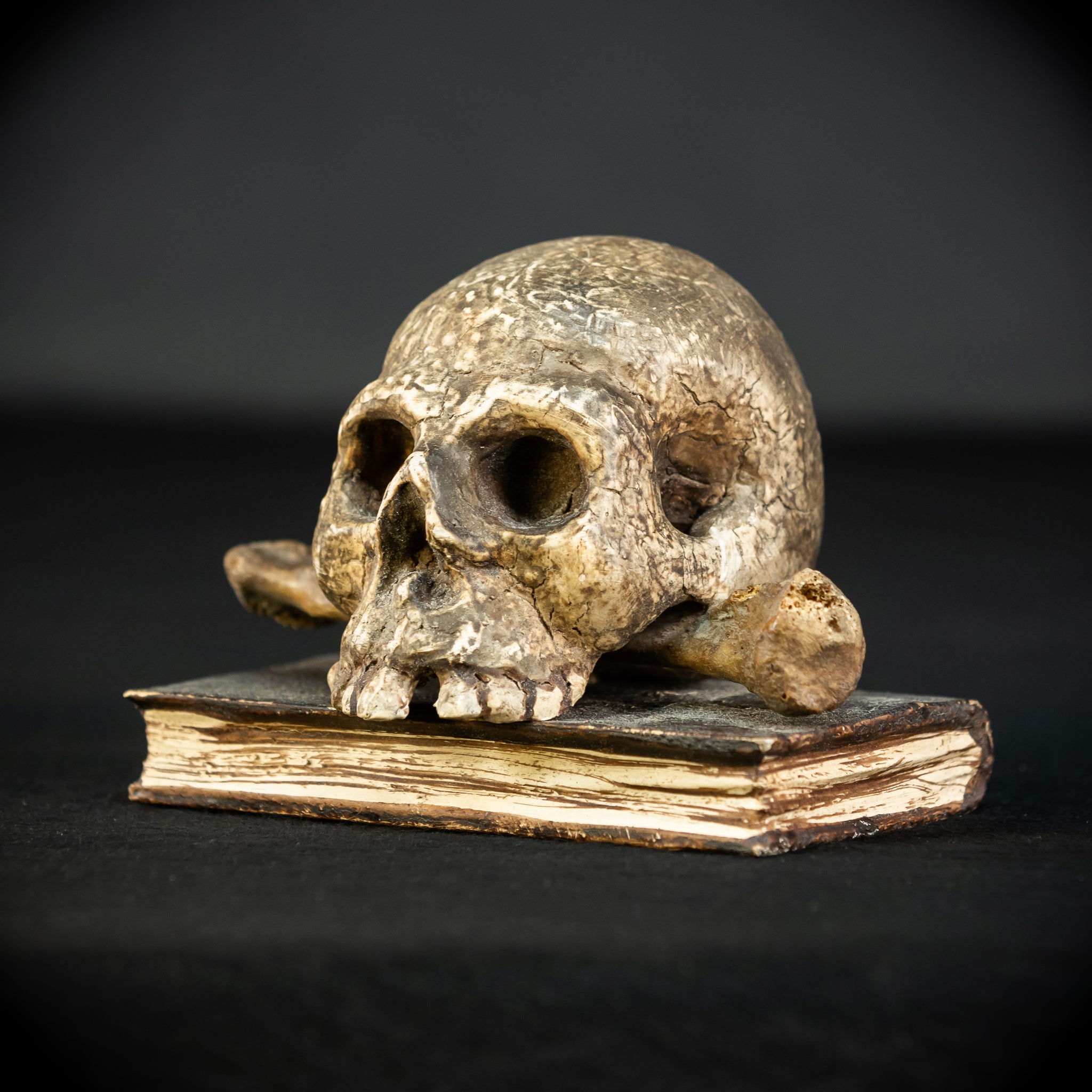 Memento Mori | Carved Wood Skull on Book 18th C | 5.5”