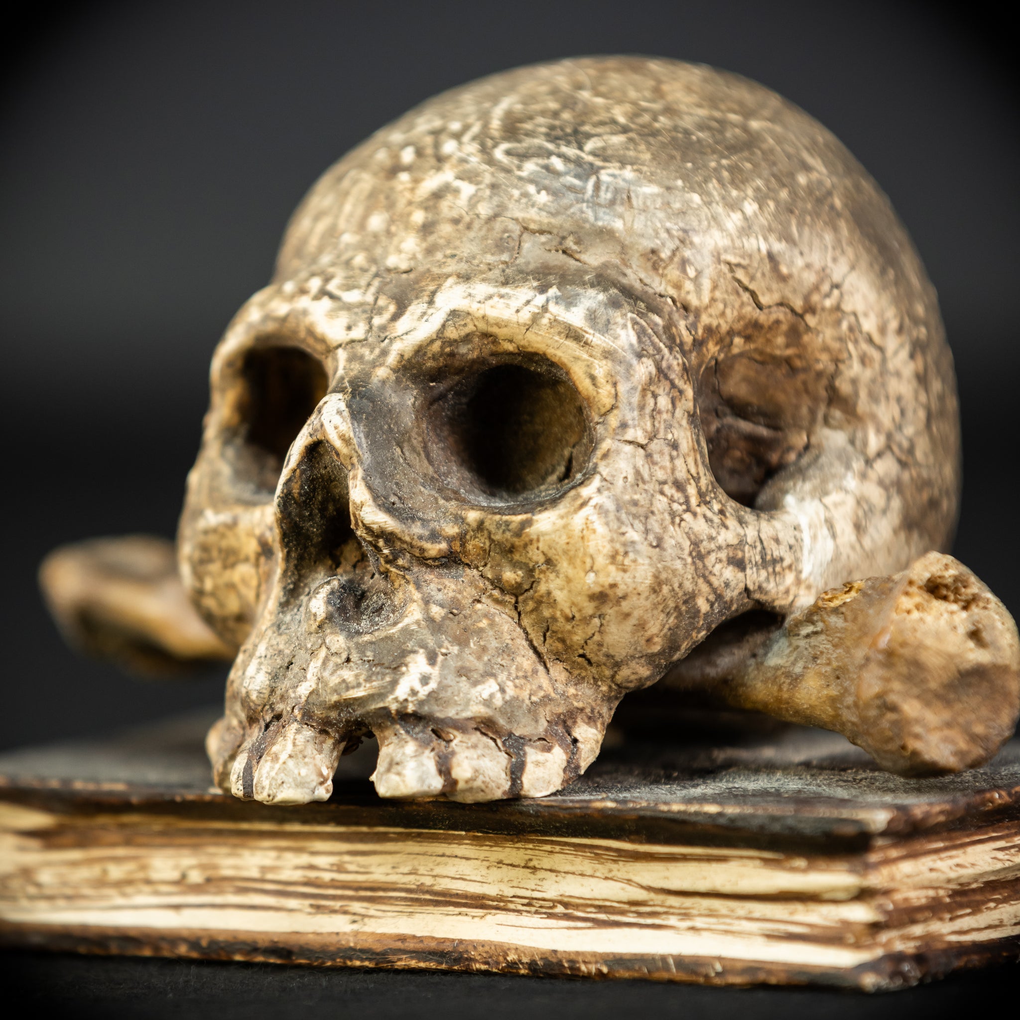 Memento Mori | Carved Wood Skull on Book 18th C | 5.5”