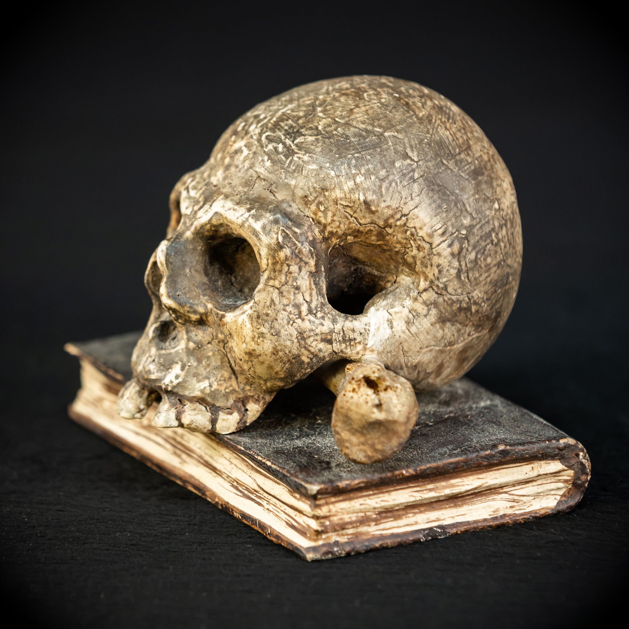 Memento Mori | Carved Wood Skull on Book 18th C | 5.5”