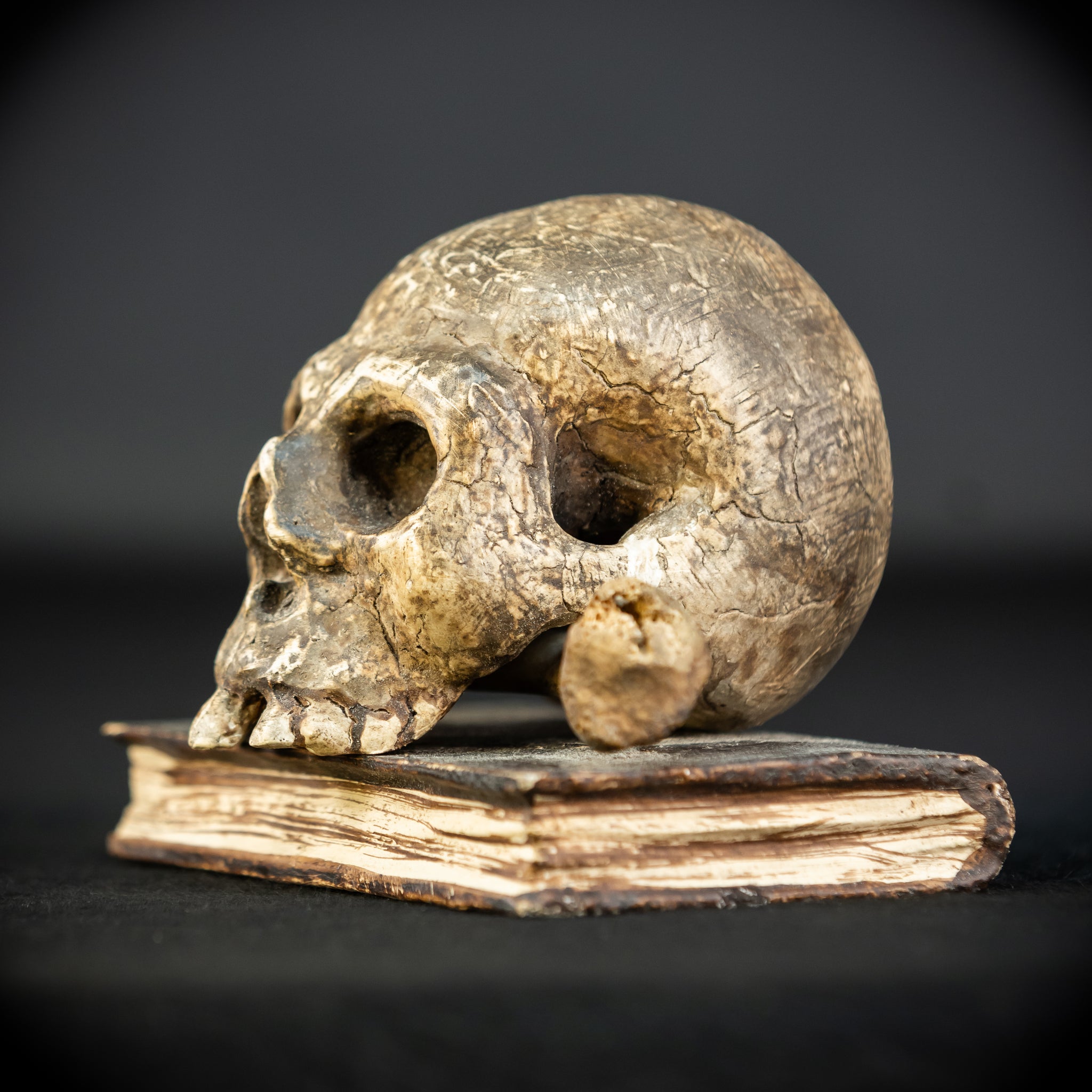 Memento Mori | Carved Wood Skull on Book 18th C | 5.5”