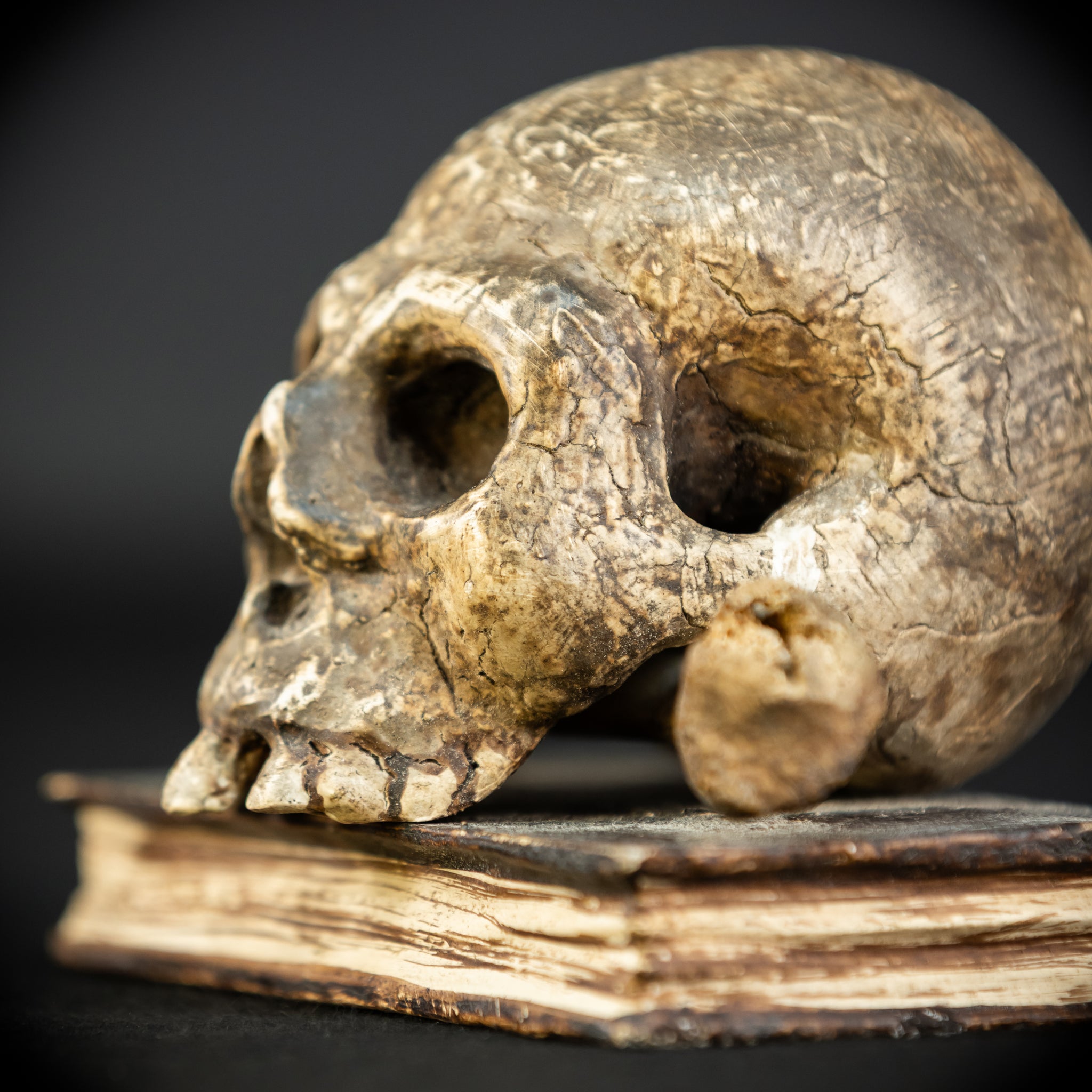 Memento Mori | Carved Wood Skull on Book 18th C | 5.5”