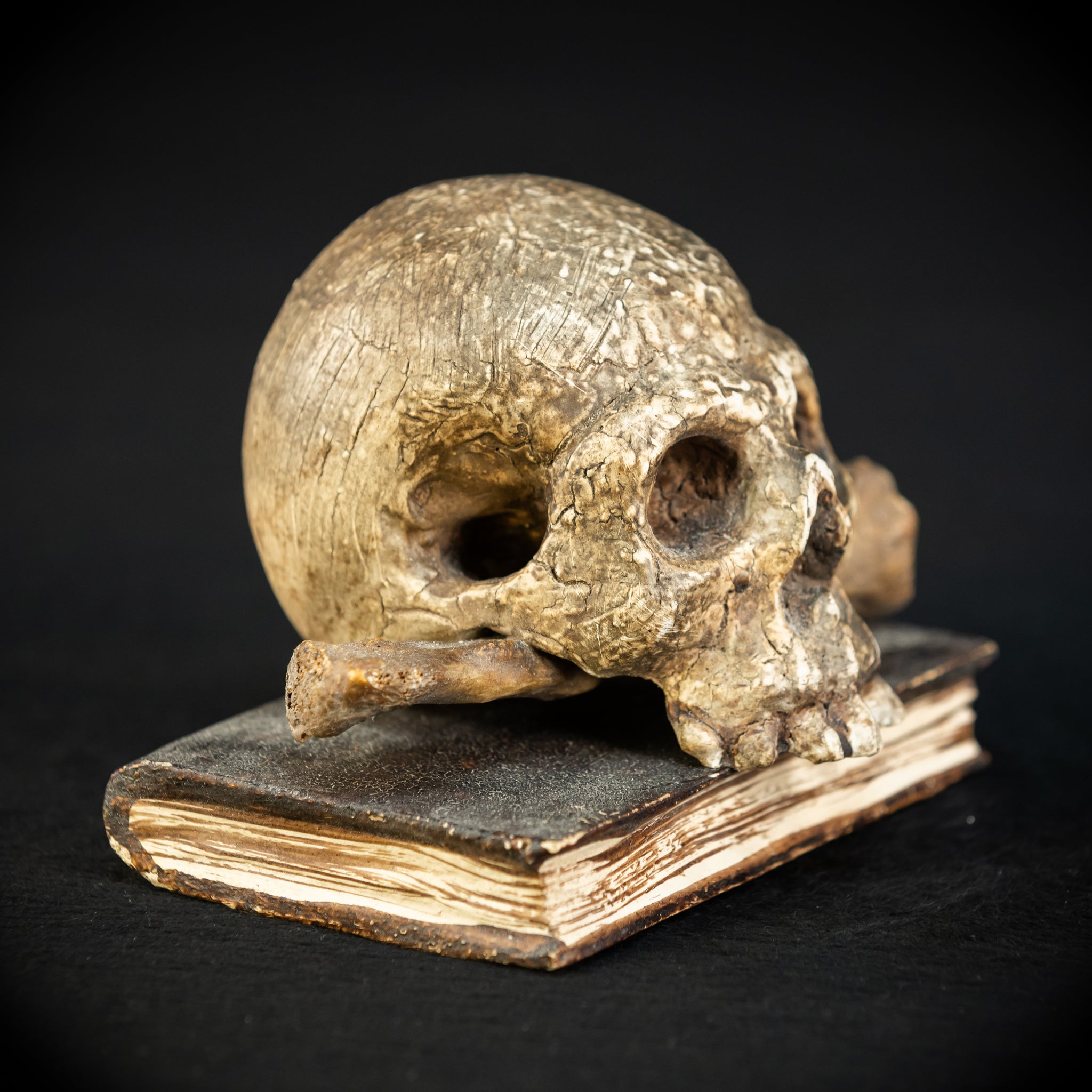 Memento Mori | Carved Wood Skull on Book 18th C | 5.5”