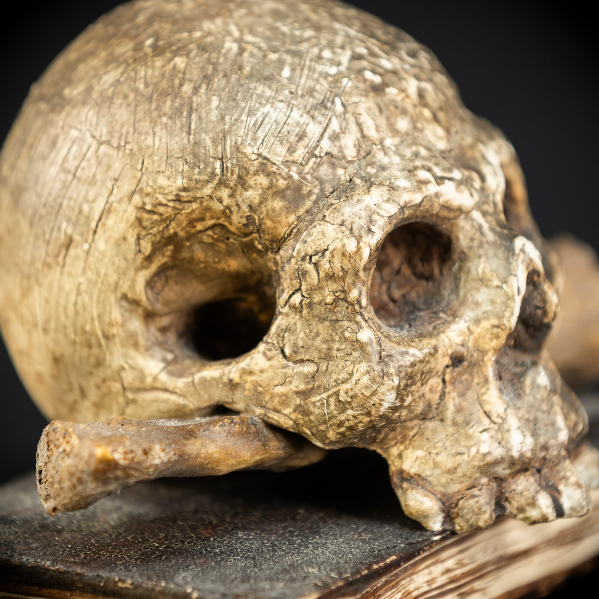 Memento Mori | Carved Wood Skull on Book 18th C | 5.5”