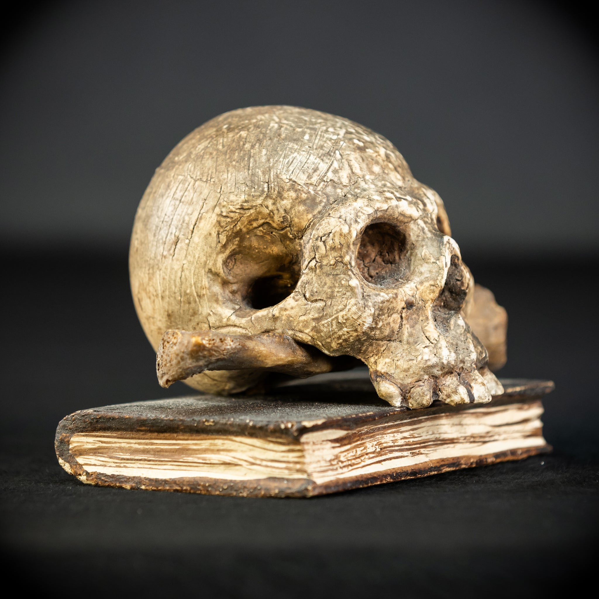 Memento Mori | Carved Wood Skull on Book 18th C | 5.5”