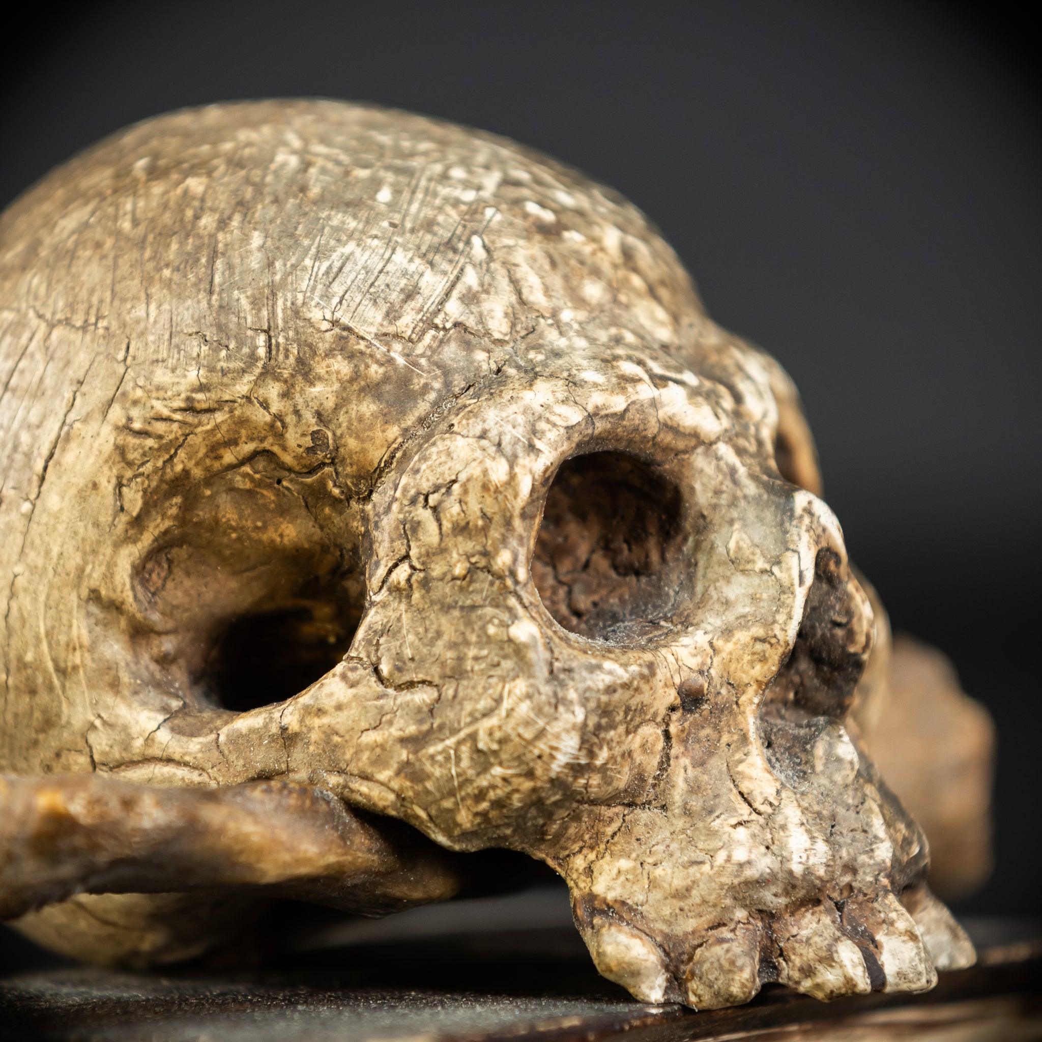 Memento Mori | Carved Wood Skull on Book 18th C | 5.5”