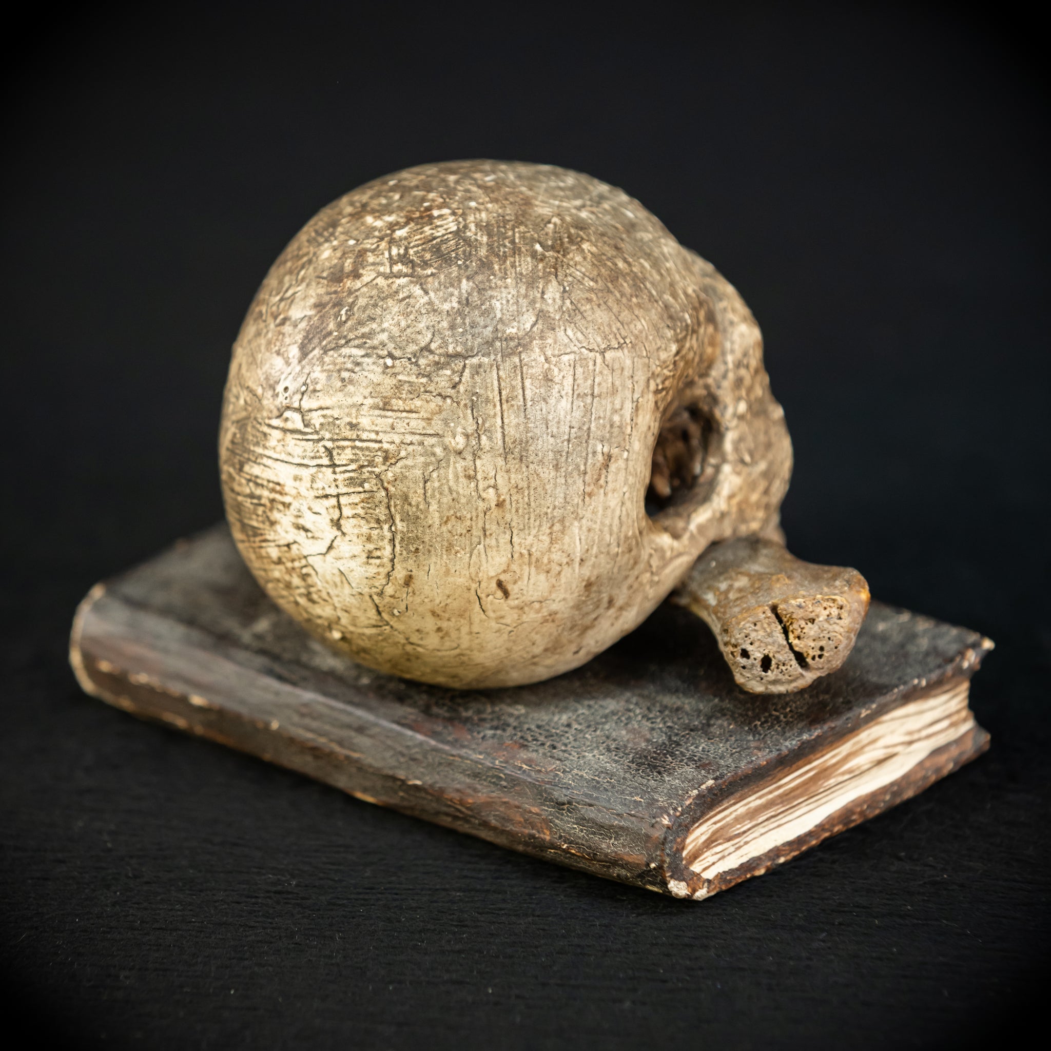 Memento Mori | Carved Wood Skull on Book 18th C | 5.5”
