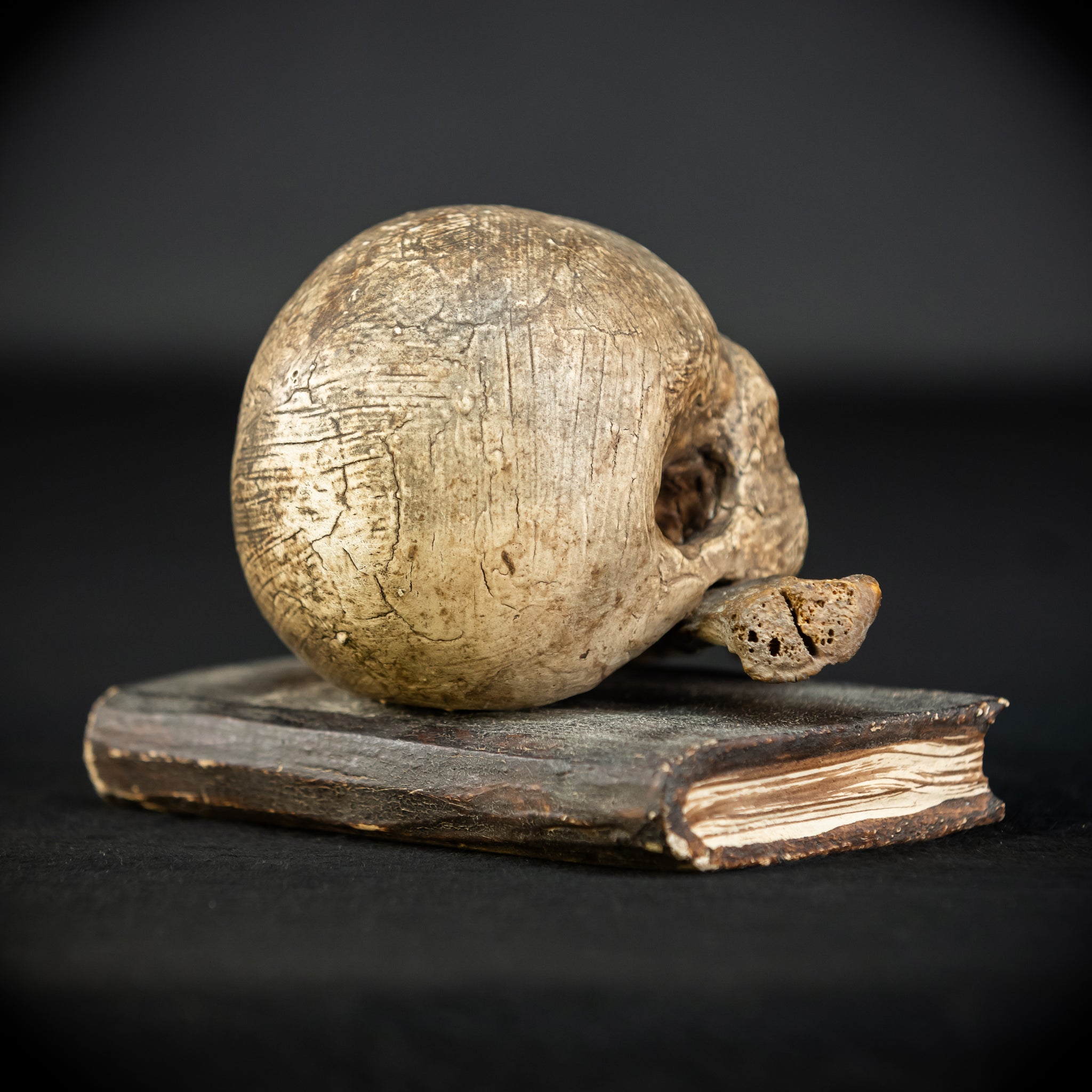 Memento Mori | Carved Wood Skull on Book 18th C | 5.5”