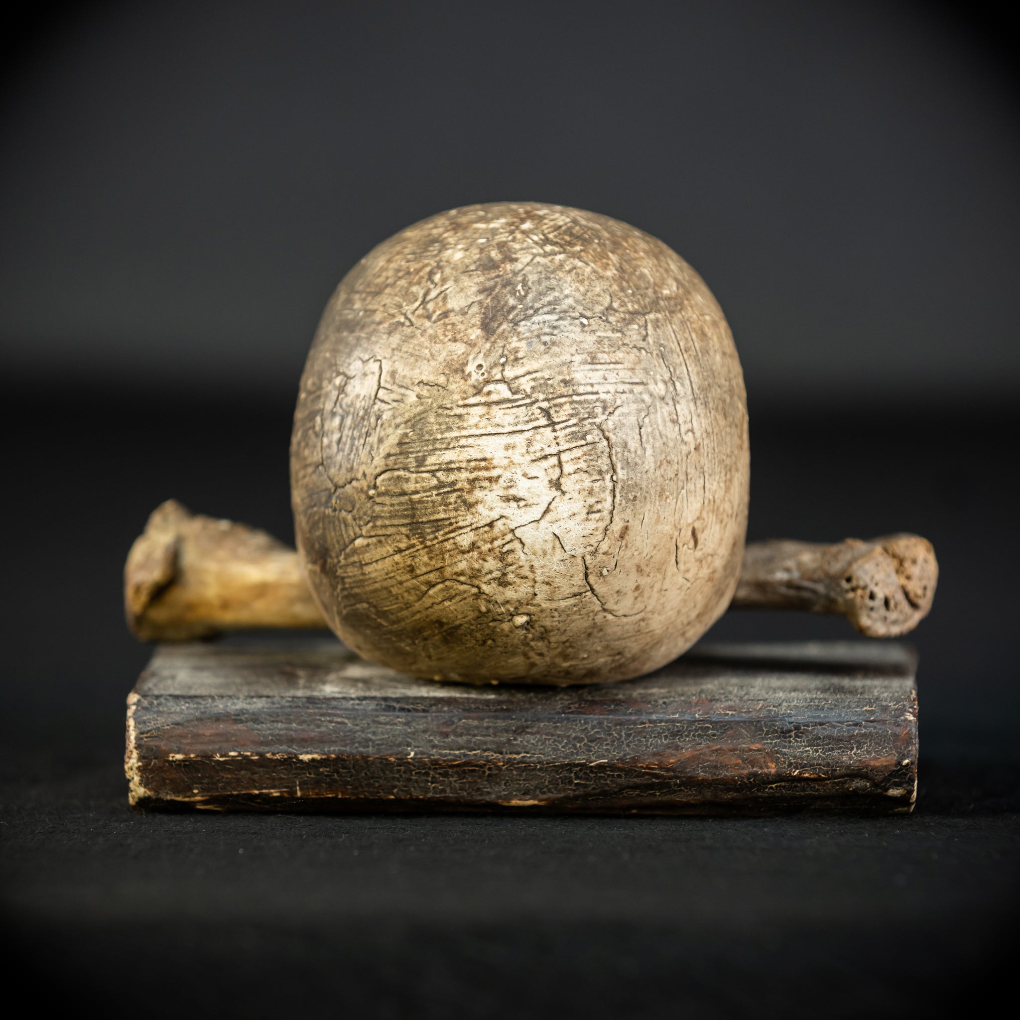 Memento Mori | Carved Wood Skull on Book 18th C | 5.5”