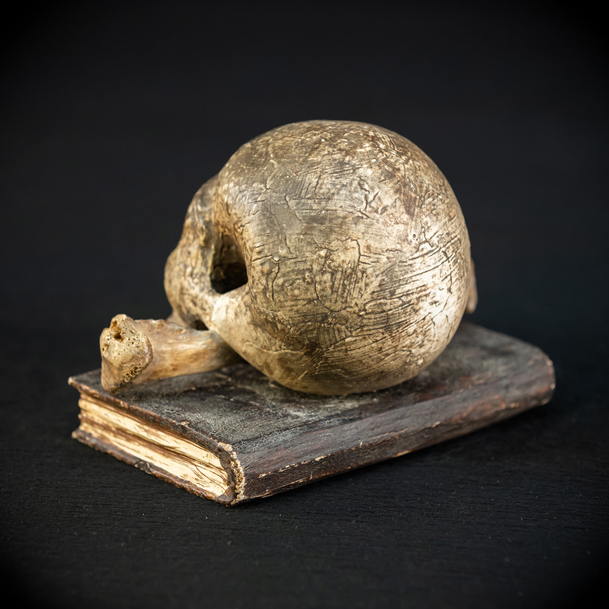 Memento Mori | Carved Wood Skull on Book 18th C | 5.5”