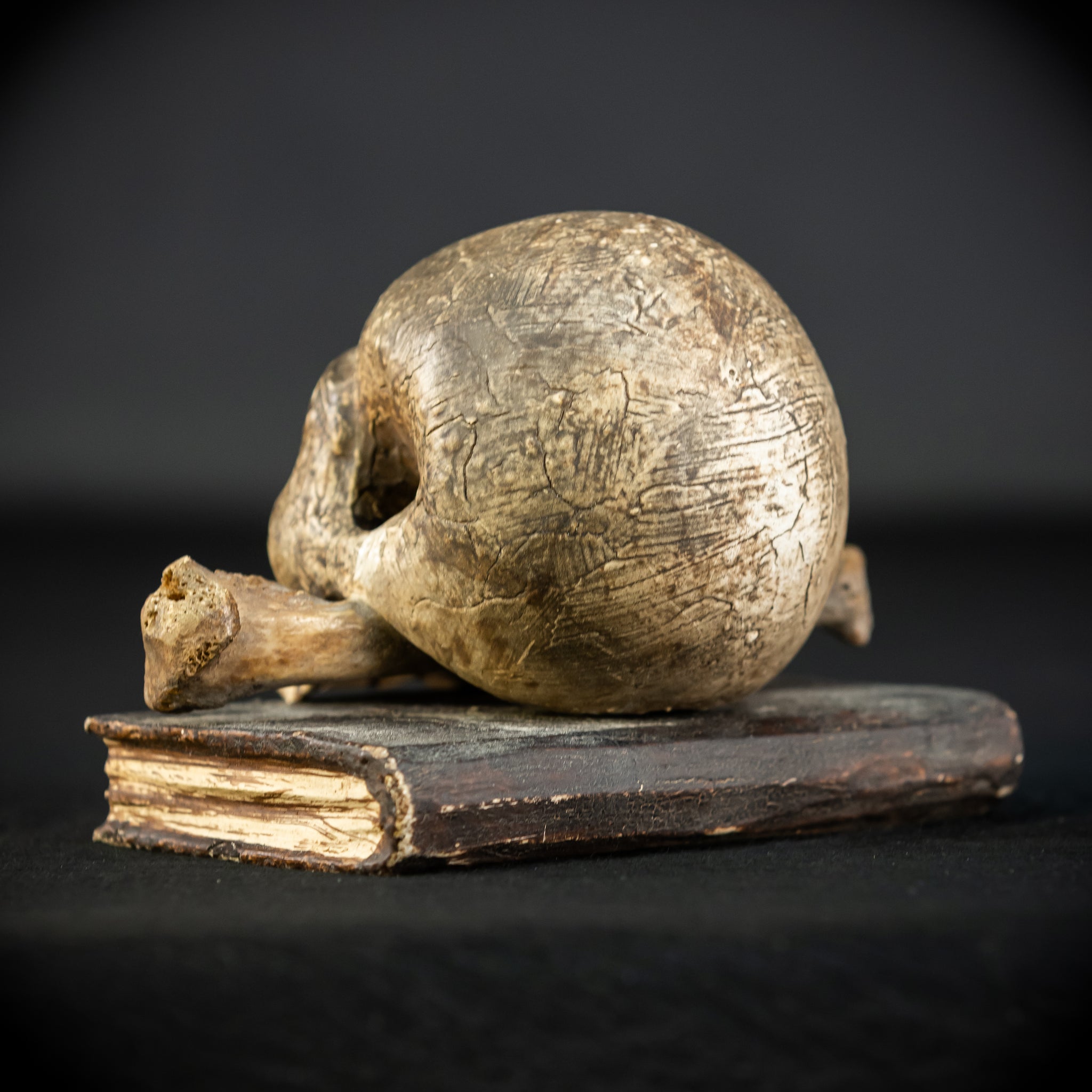 Memento Mori | Carved Wood Skull on Book 18th C | 5.5”