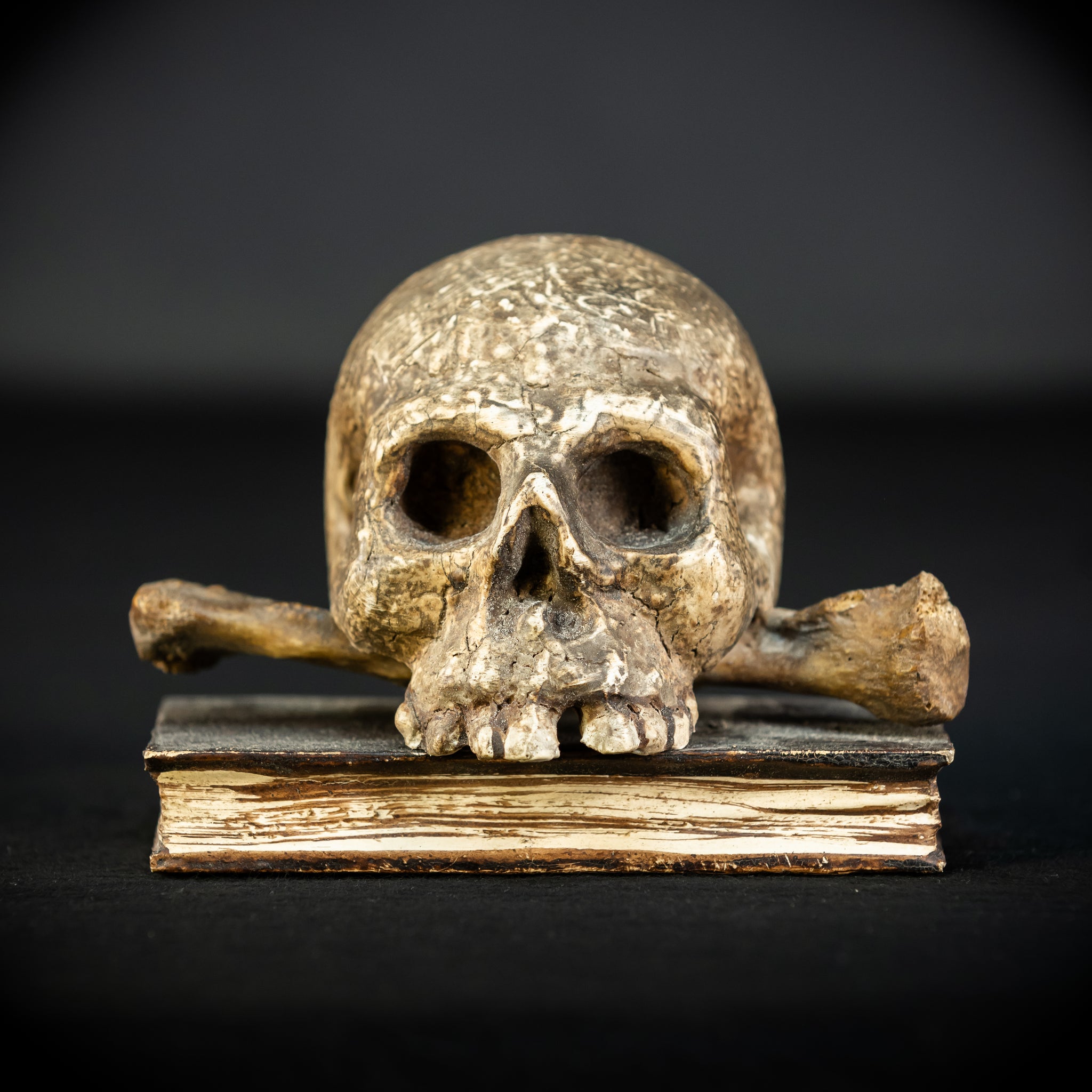 Memento Mori | Carved Wood Skull on Book 18th C | 5.5”