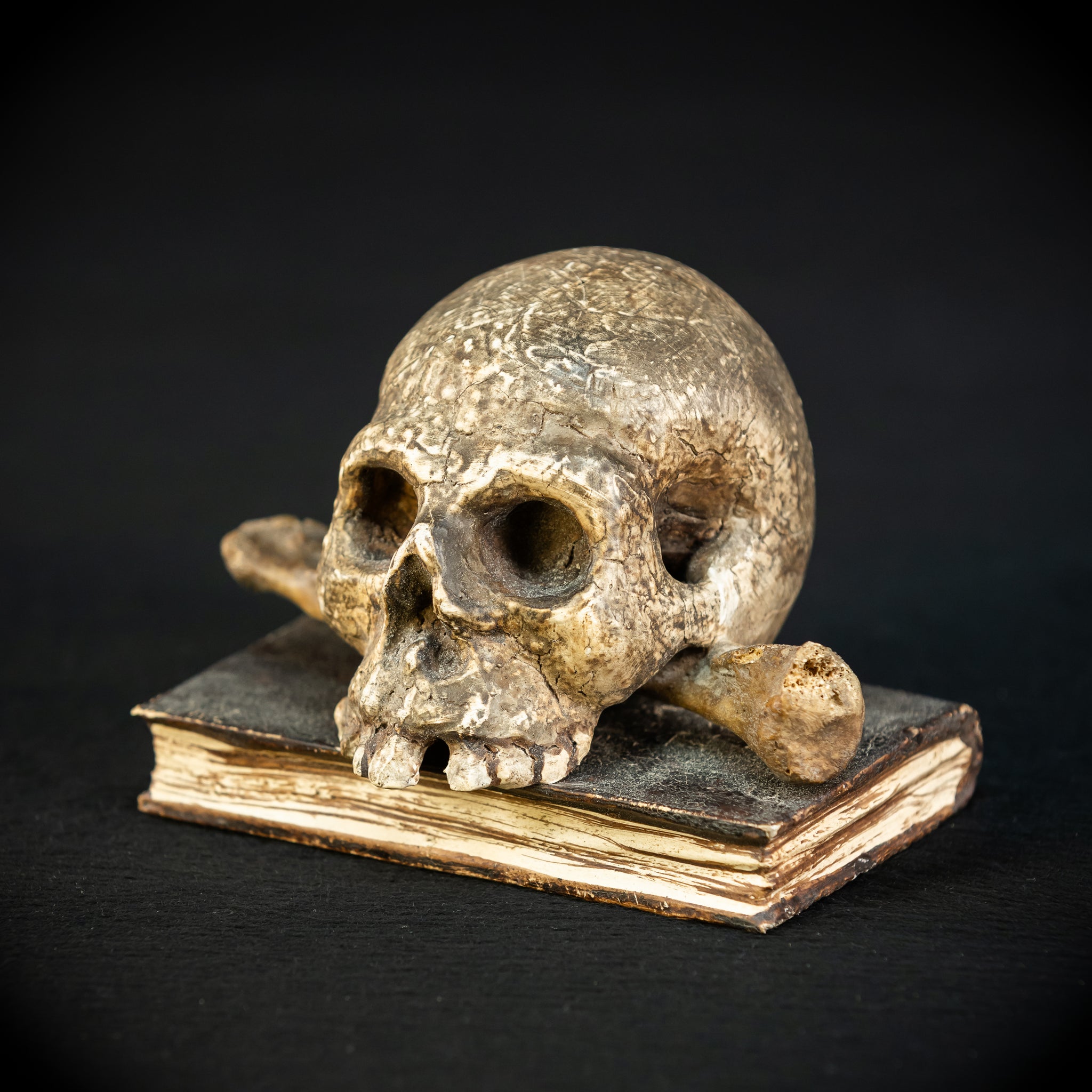 Memento Mori | Carved Wood Skull on Book 18th C | 5.5”