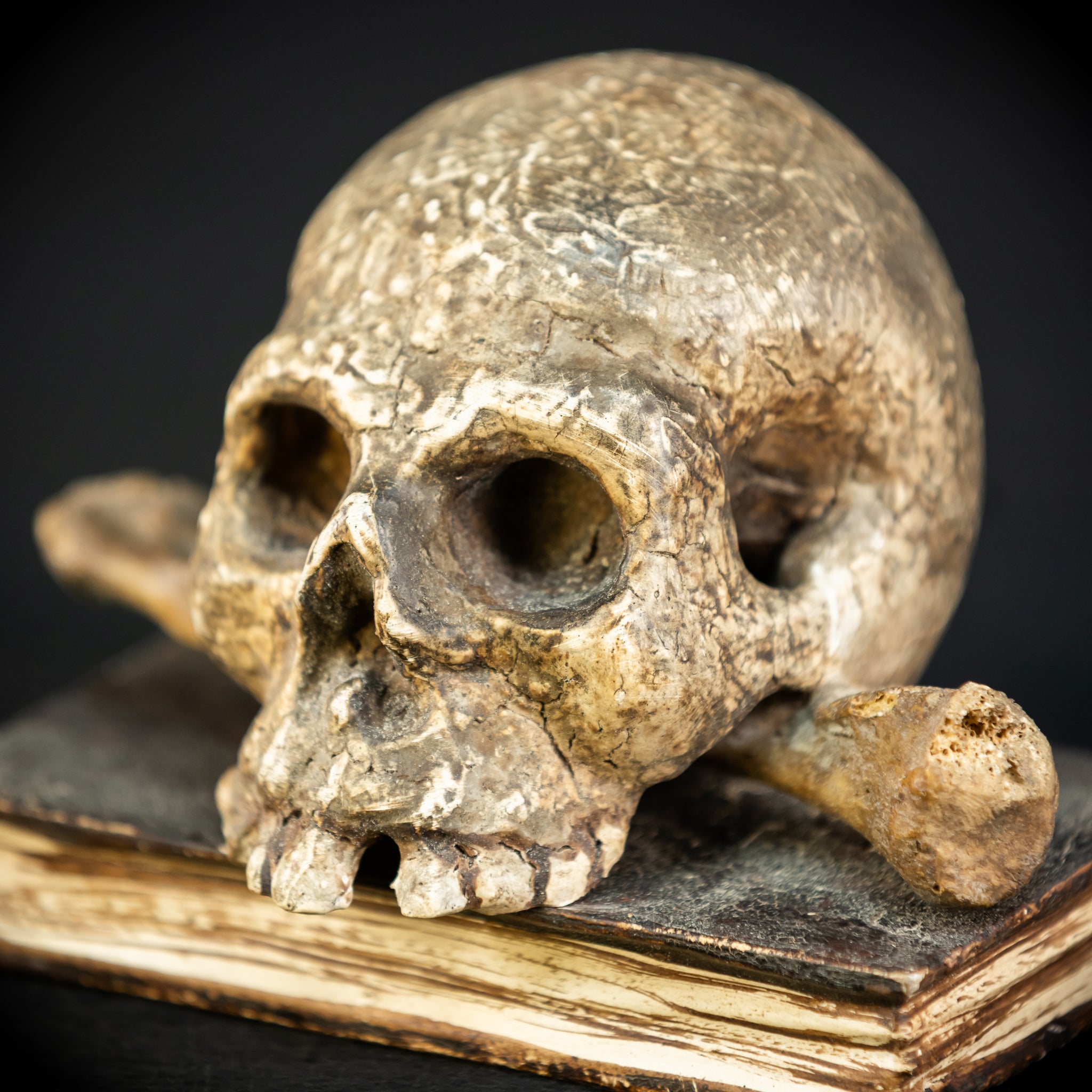 Memento Mori | Carved Wood Skull on Book 18th C | 5.5”