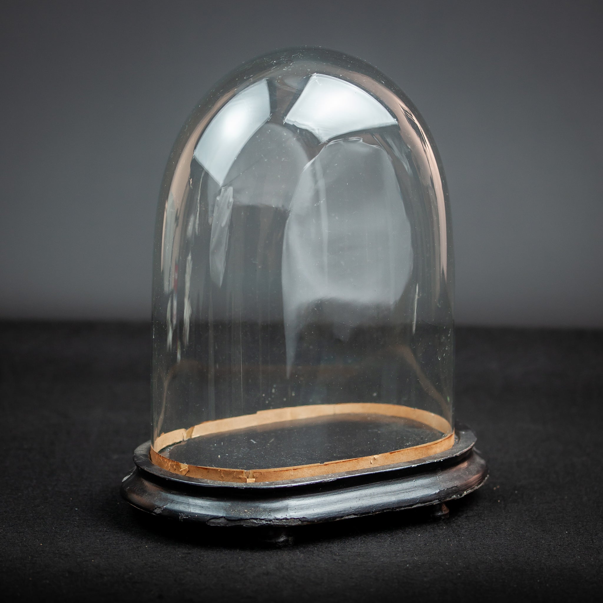 Glass Dome Oval Hand Blown Glass Globe 12”