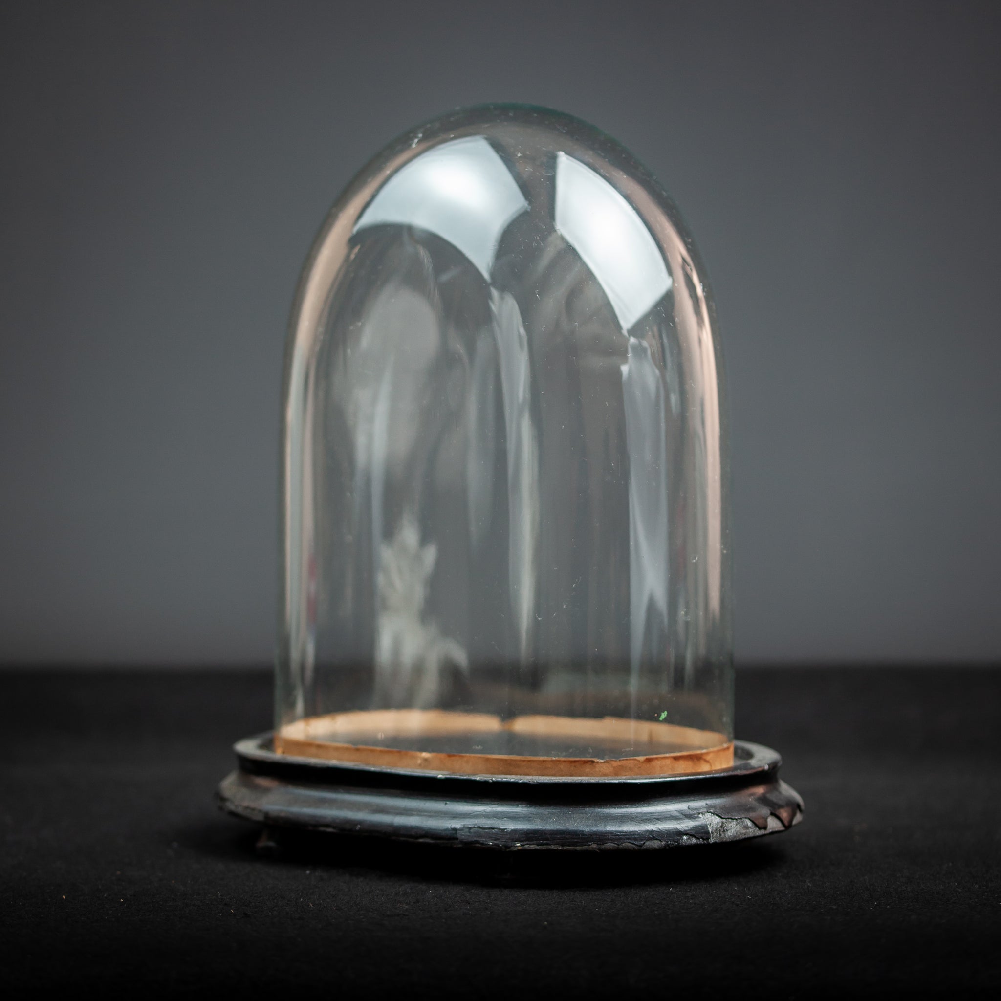 Glass Dome Oval Hand Blown Glass Globe 12”